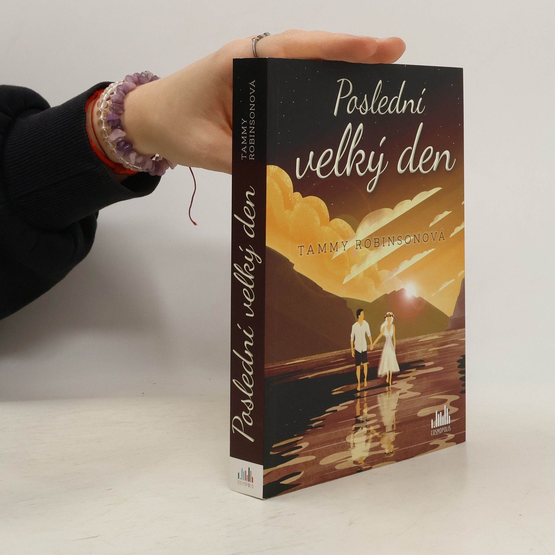 Tammy Robinson Poslední velký den