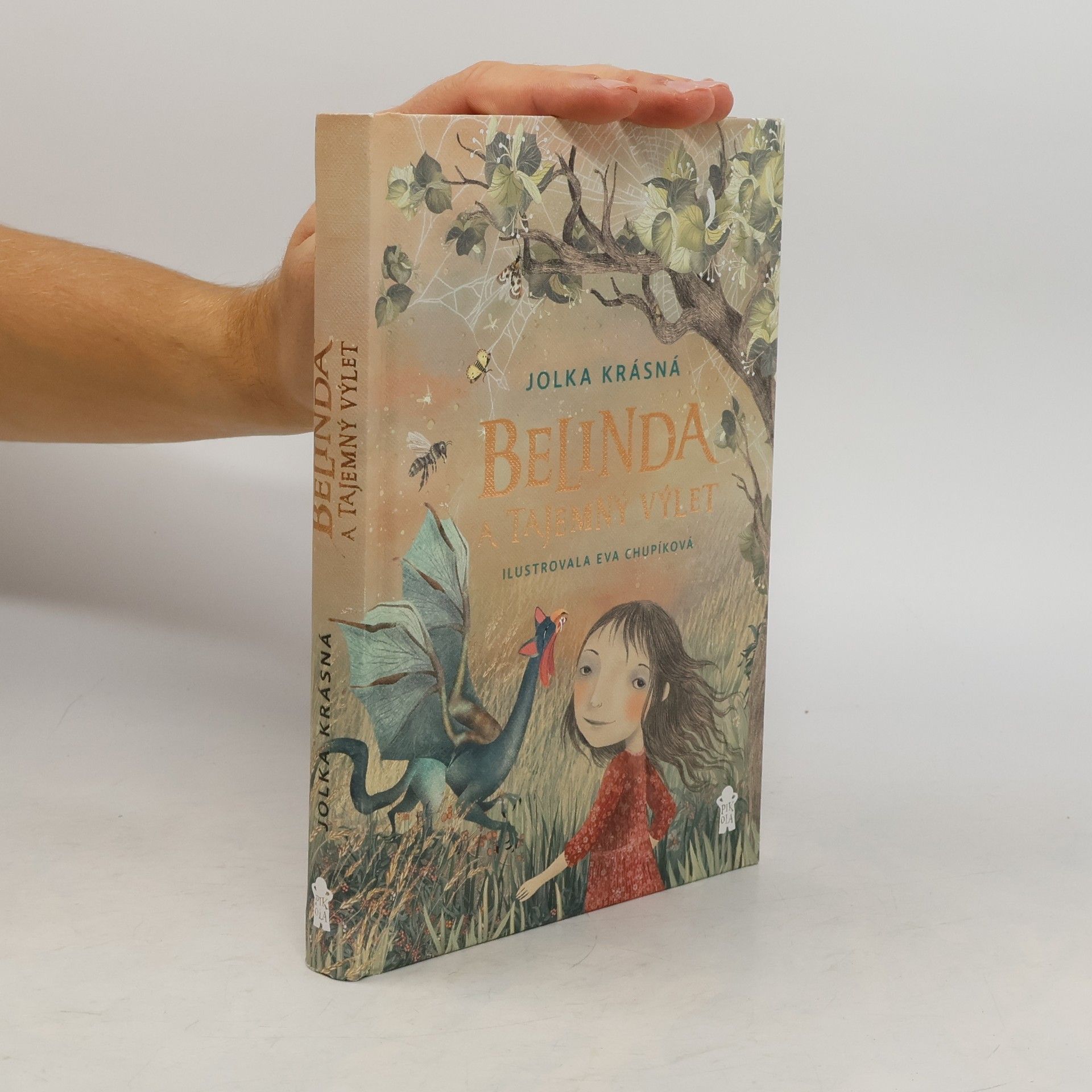 Belinda a tajemný výlet