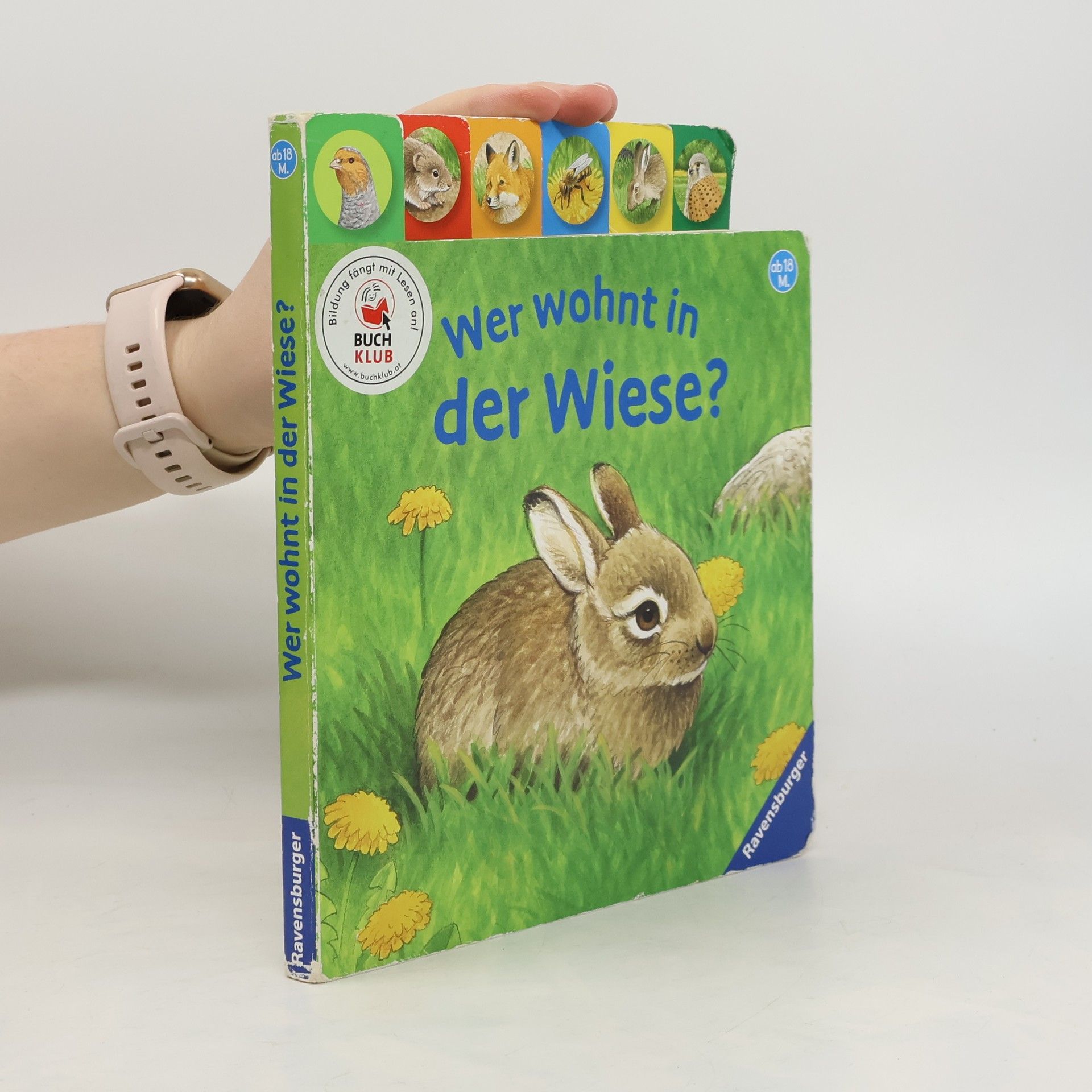 Autorenkollektiv Wer wohnt in der Wiese?