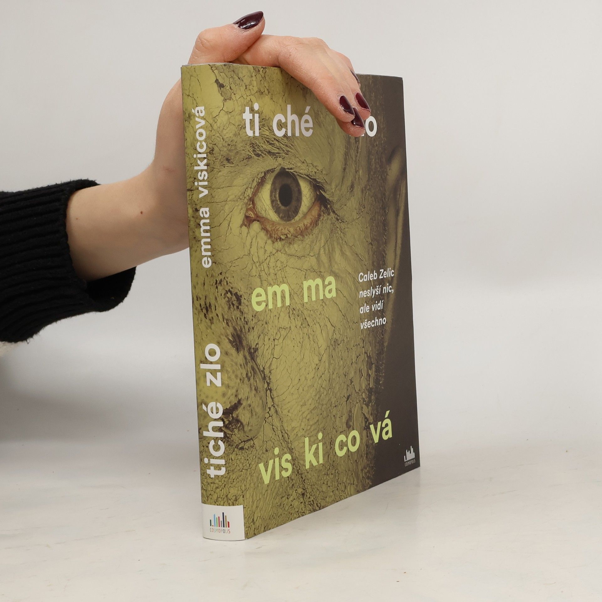 Emma Viskic Tiché zlo