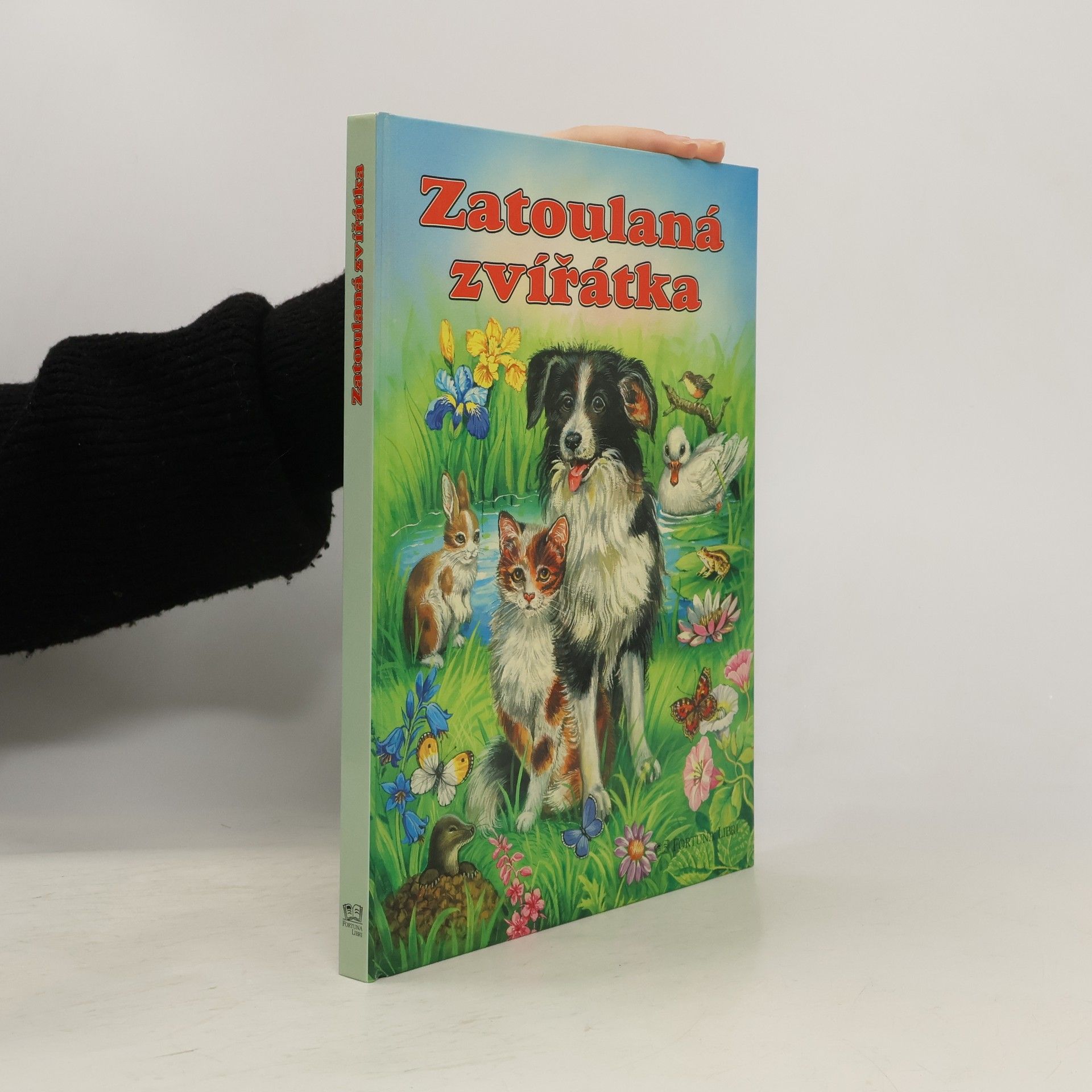 Katja Epes Zatoulaná zvířátka