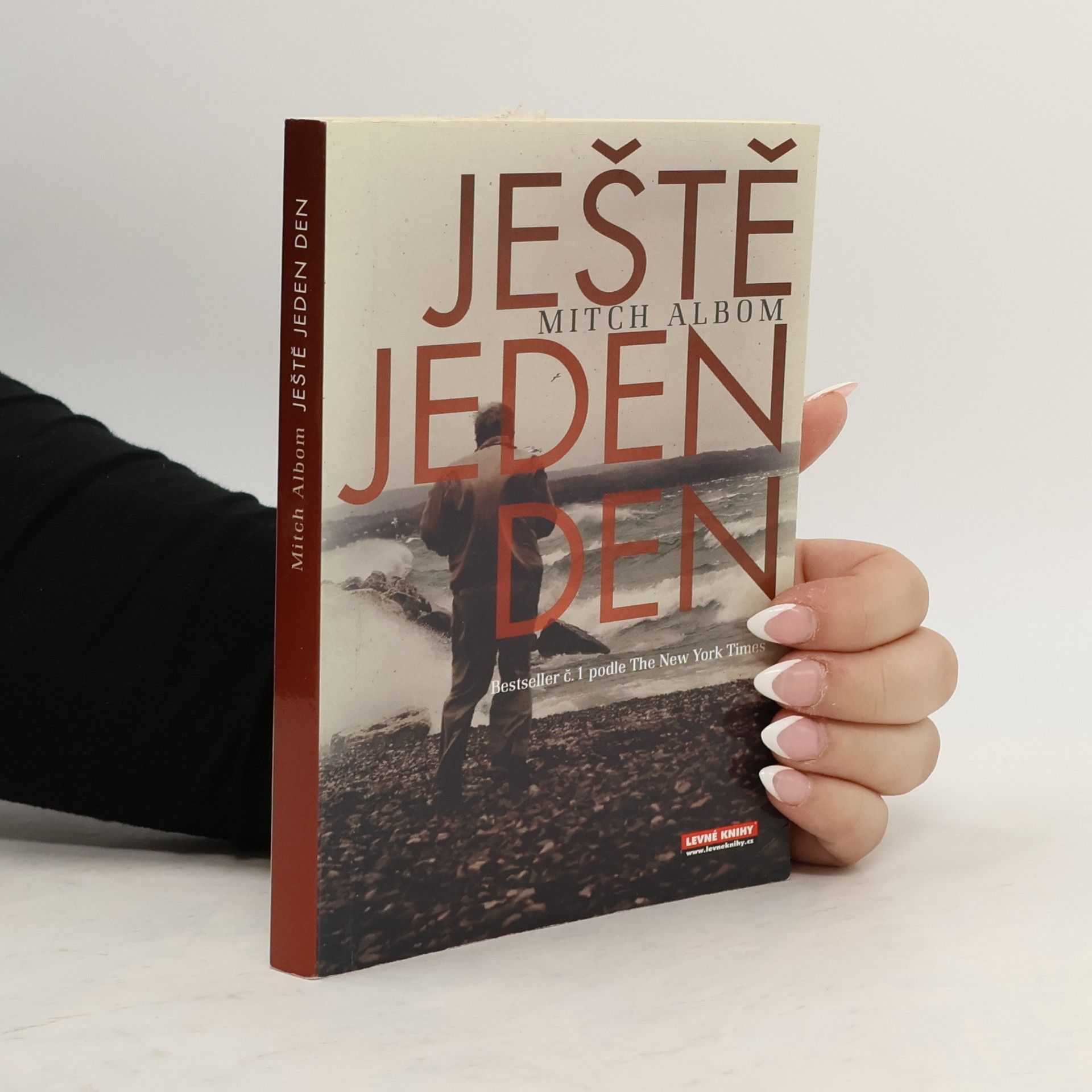 Mitch Albom Ještě jeden den