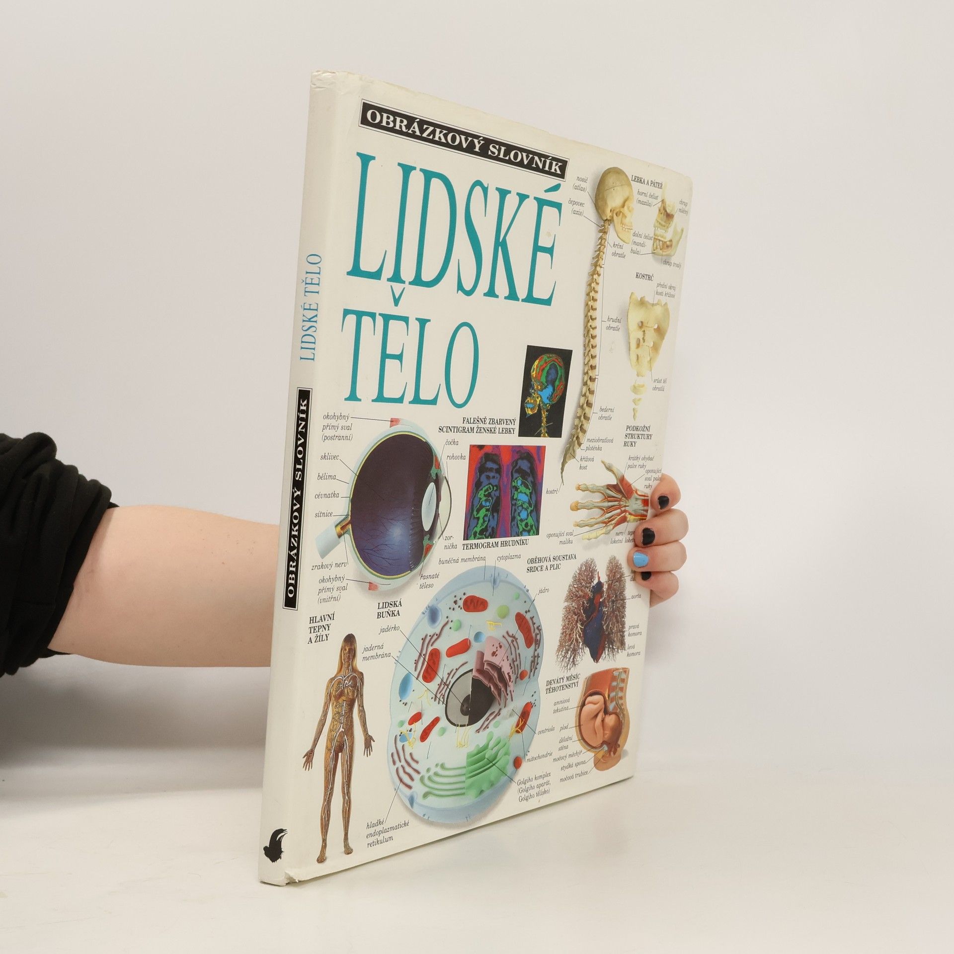Lidské tělo: Obrázkový slovník