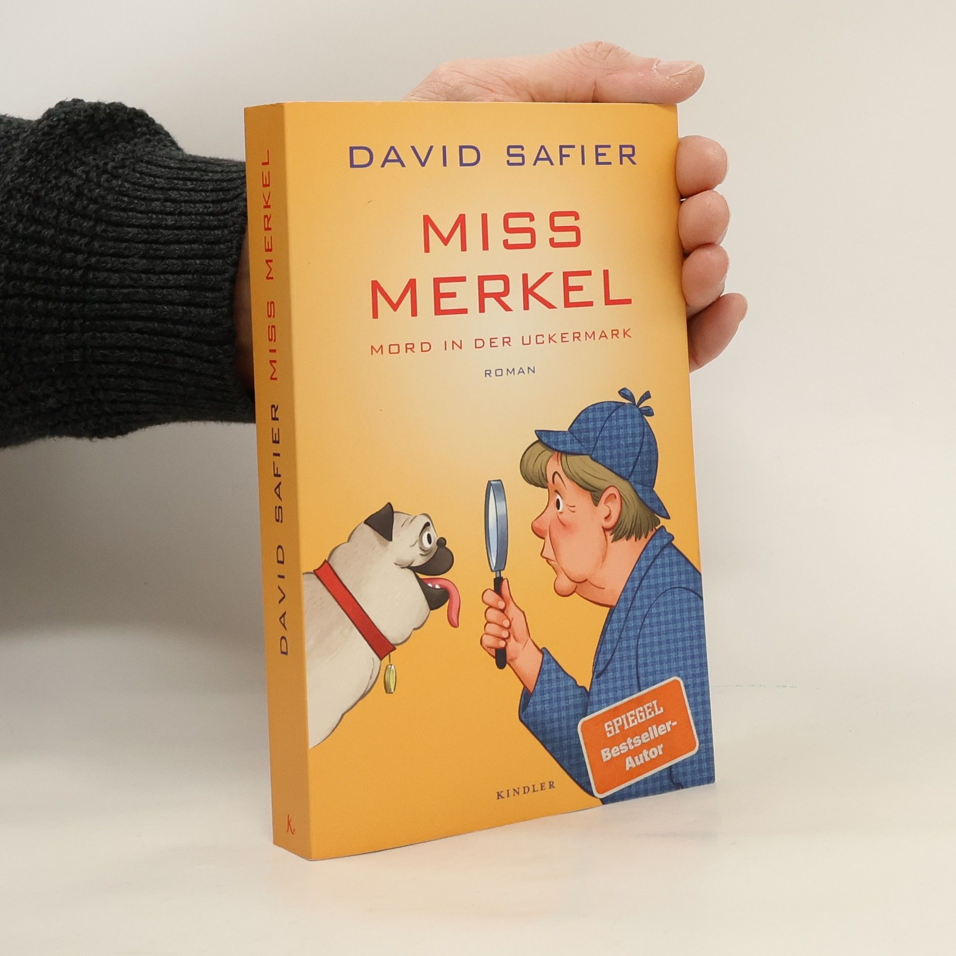 David Safier Miss Merkel