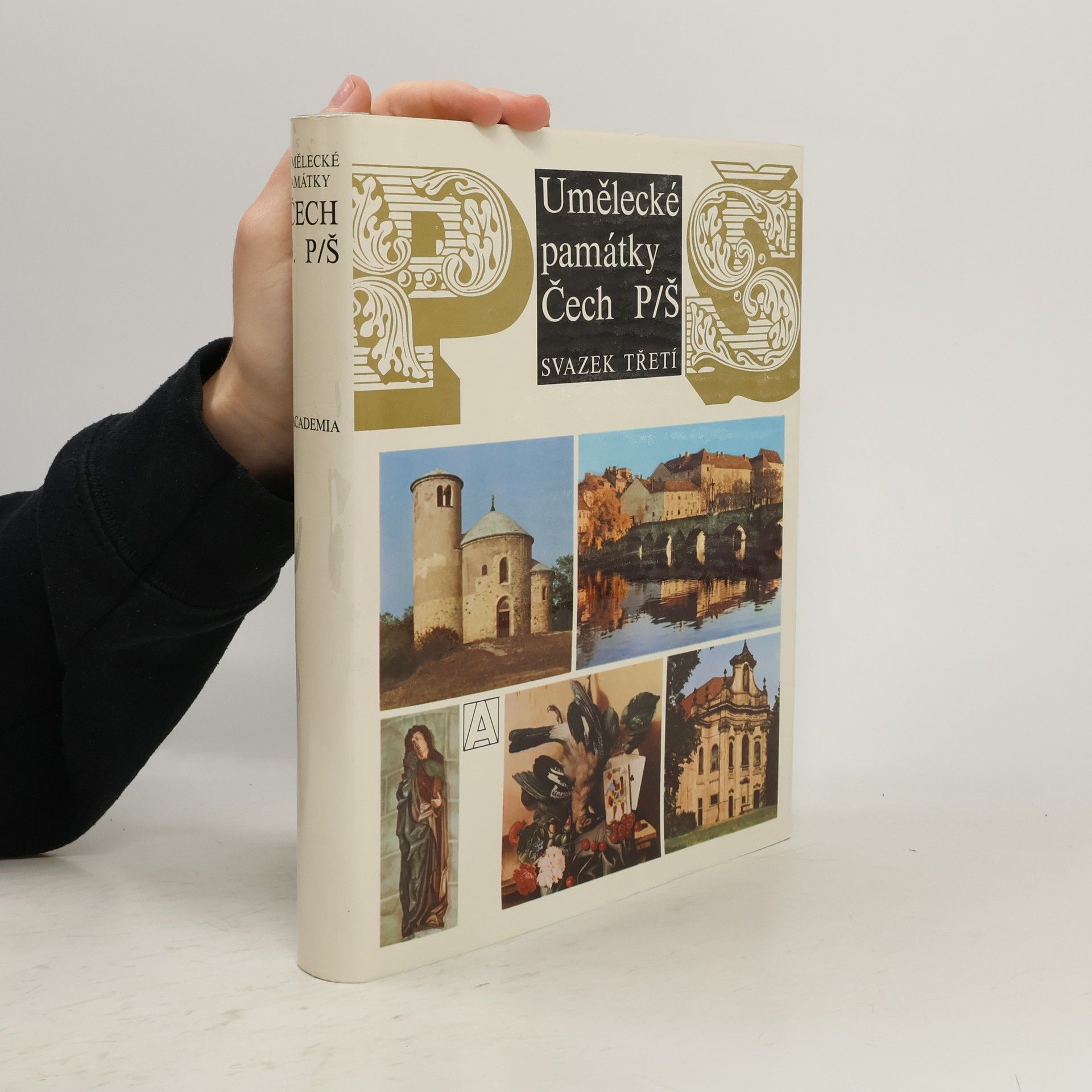 Auteurscollectief Umělecké památky Čech 3. P-Š