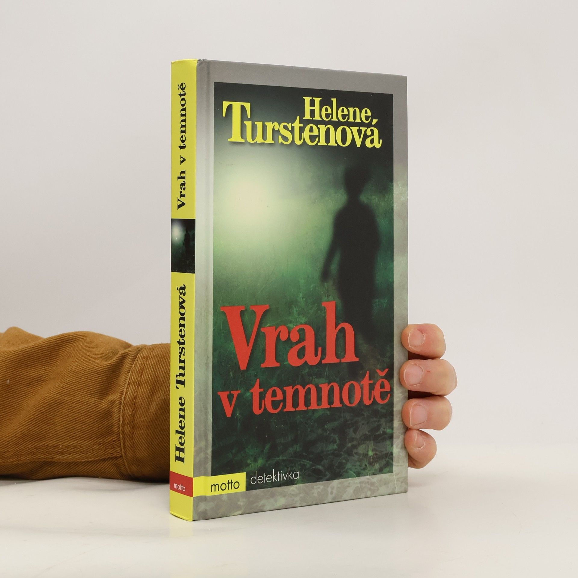 Helene Tursten Vrah v temnotě