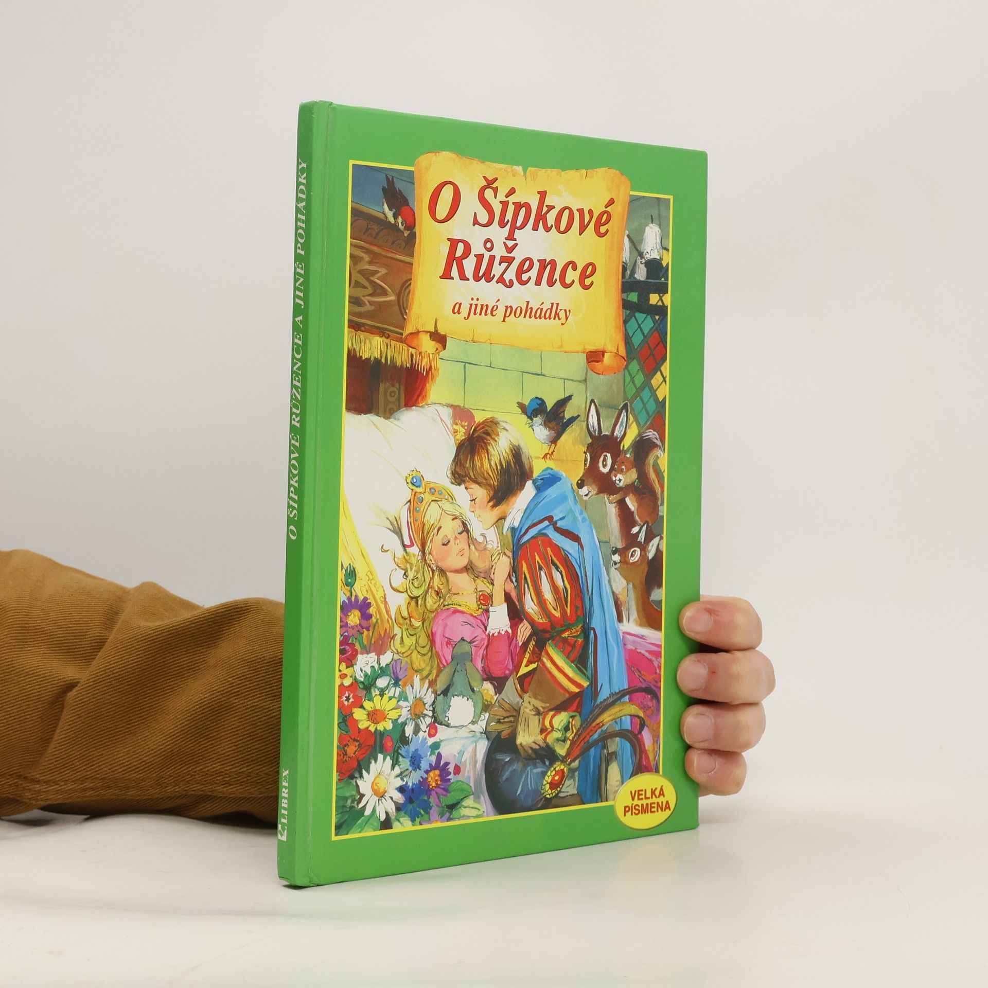 Carlos Busquets O Šípkové Růžence a jiné pohádky