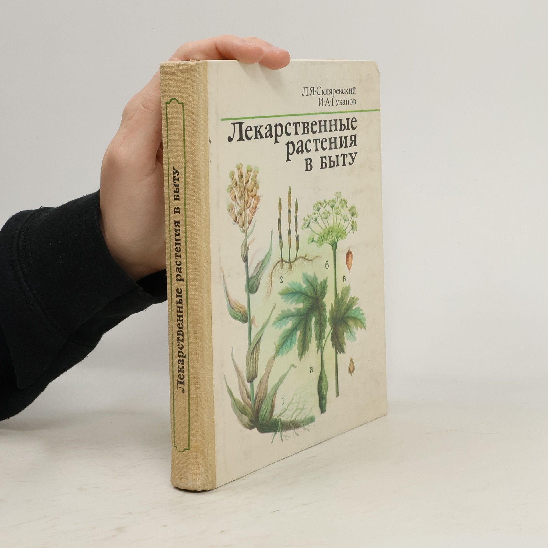 Auteurscollectief Лекарственные растения в быту