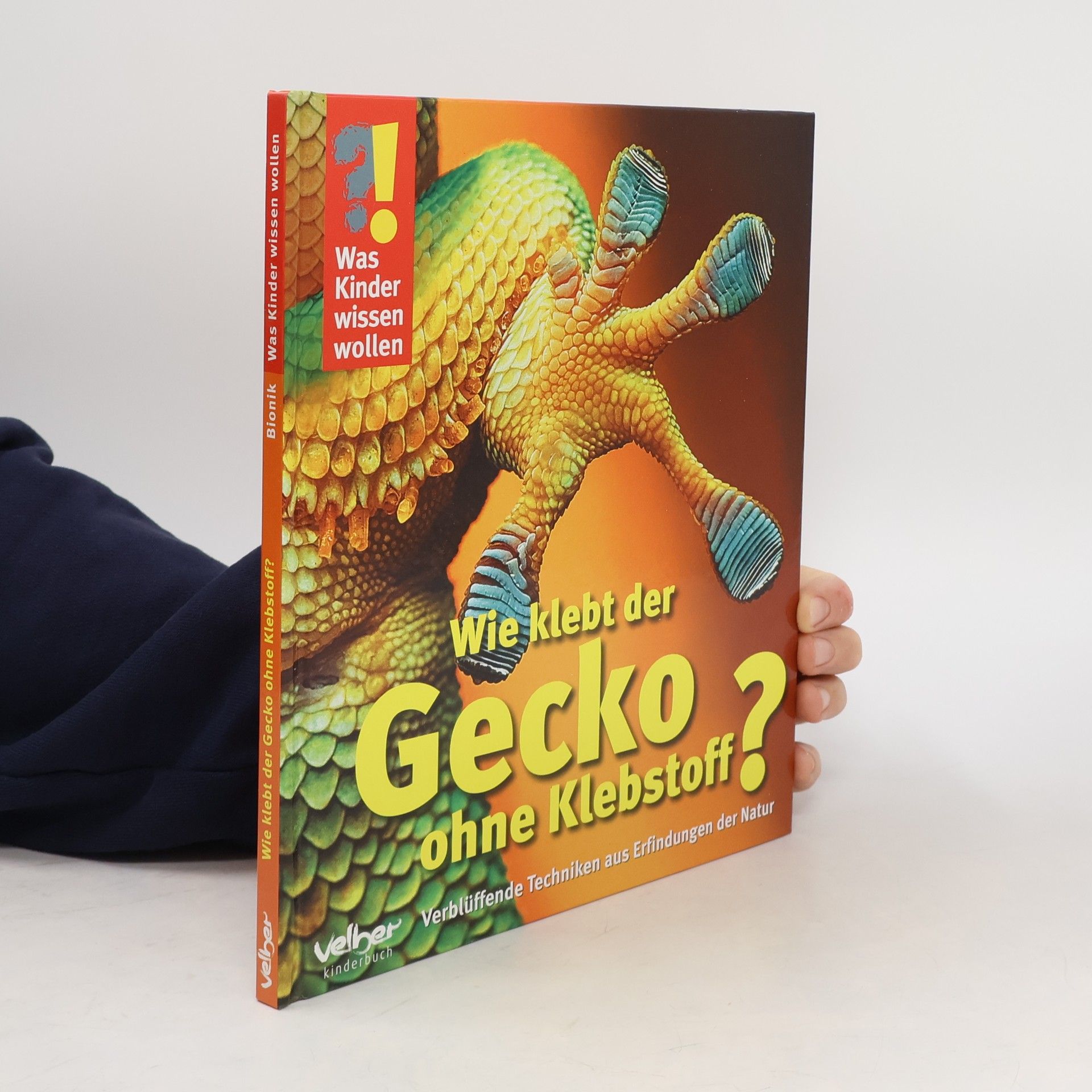 Ulrike Berger Wie klebt der Gecko ohne Klebstoff? Verblüffender Techniken aus Erfingungen der Natur