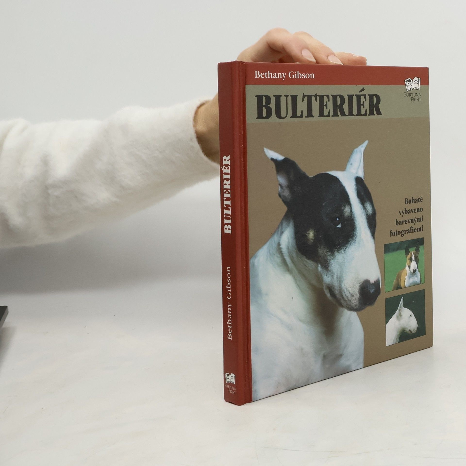 Bulteriér