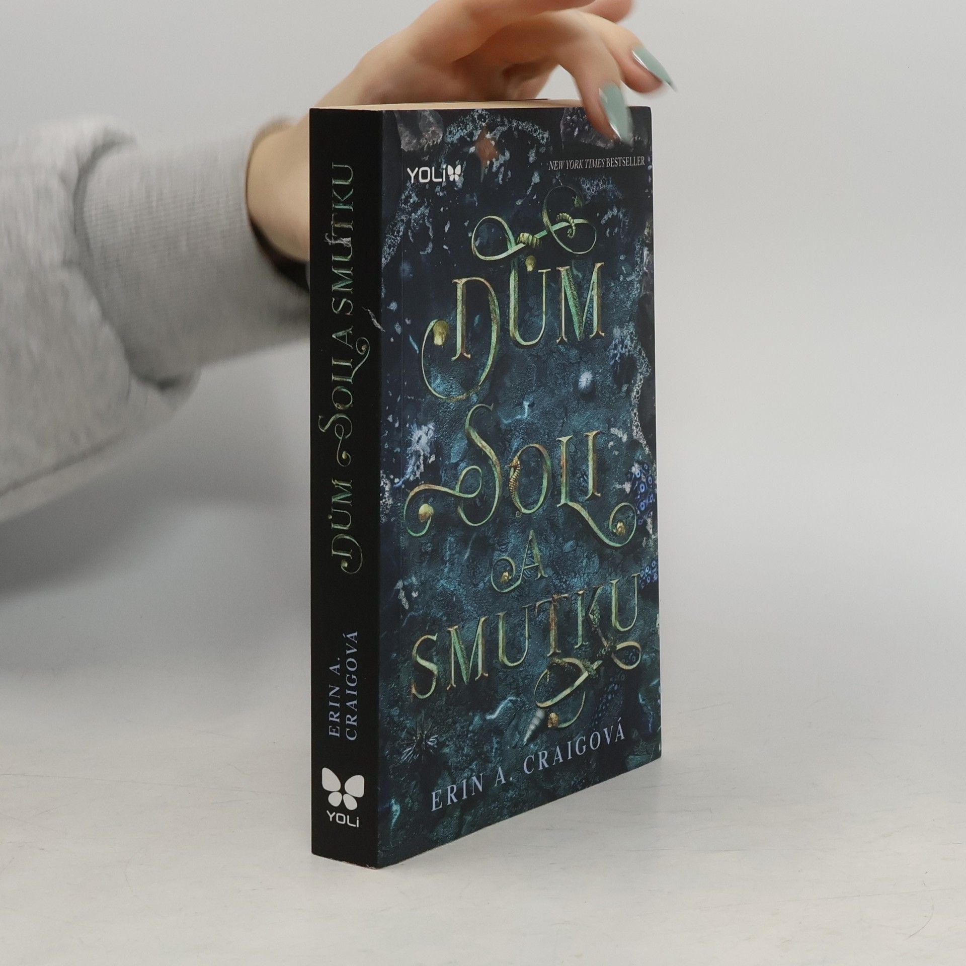 Erin A. Craig Dům soli a smutku