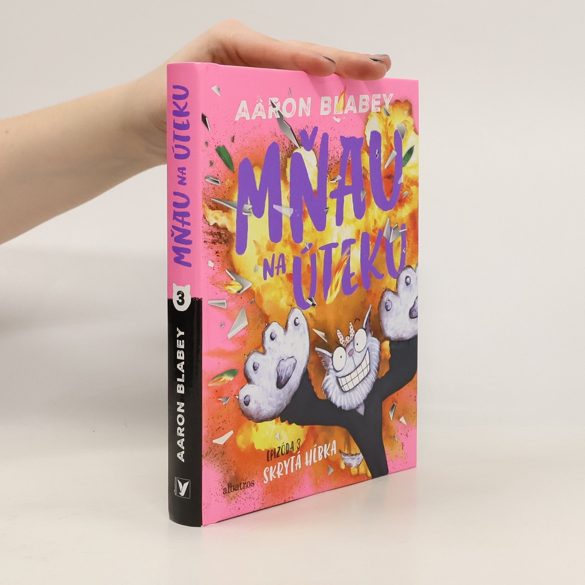 Aaron Blabey Mňau na úteku