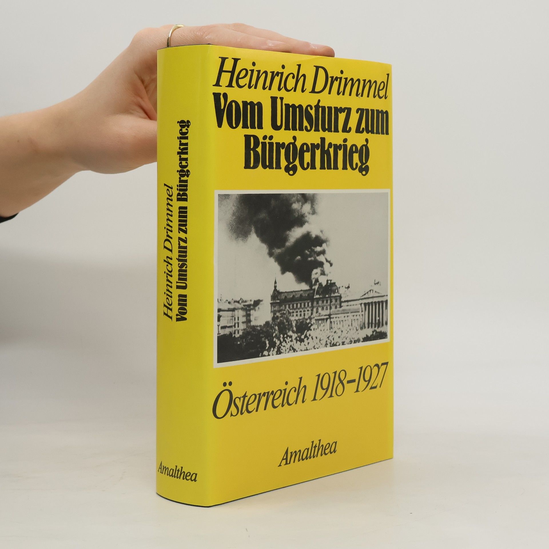 Vom Umsturz zum Bürgerkrieg