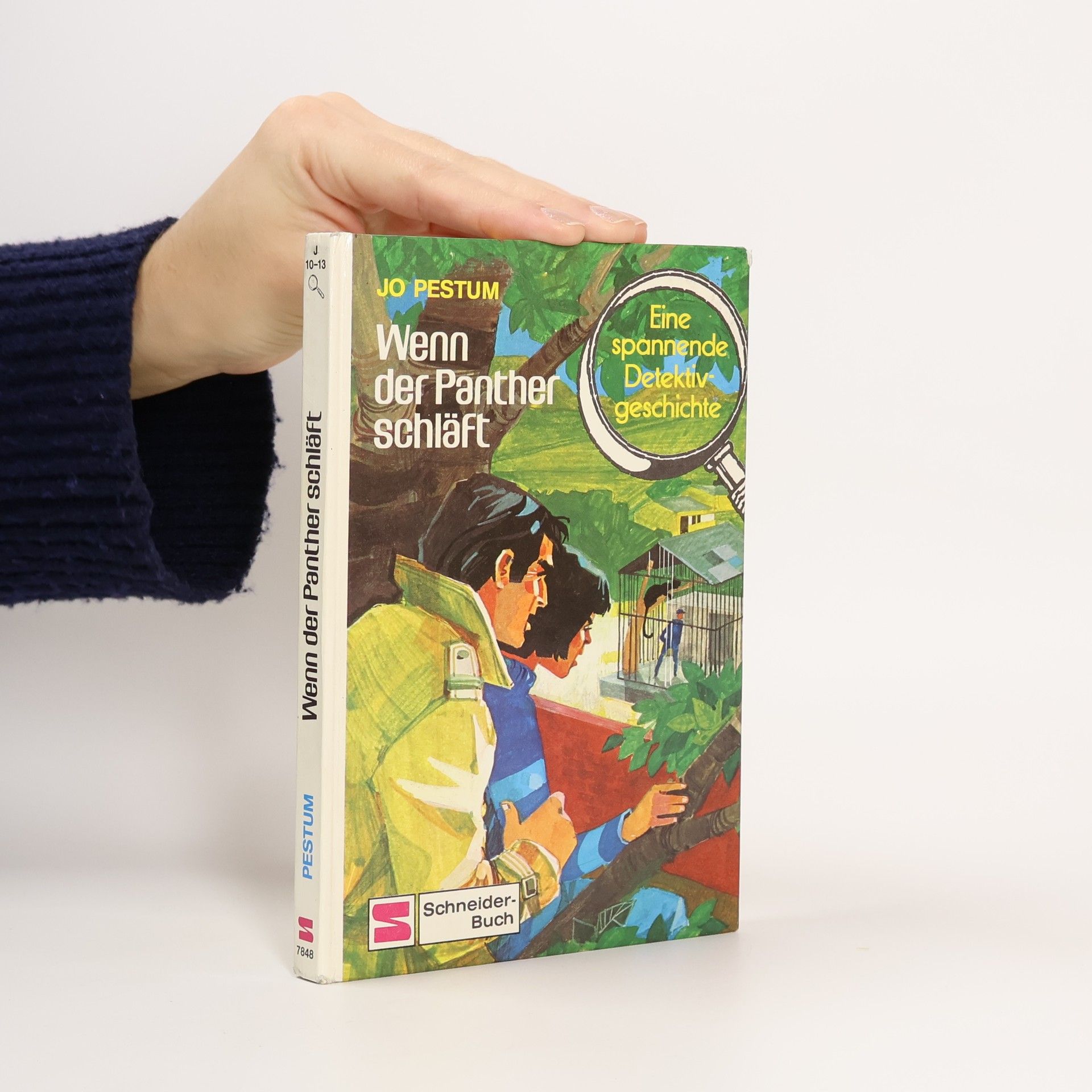 Jo Pestum Wenn der Panther schläft