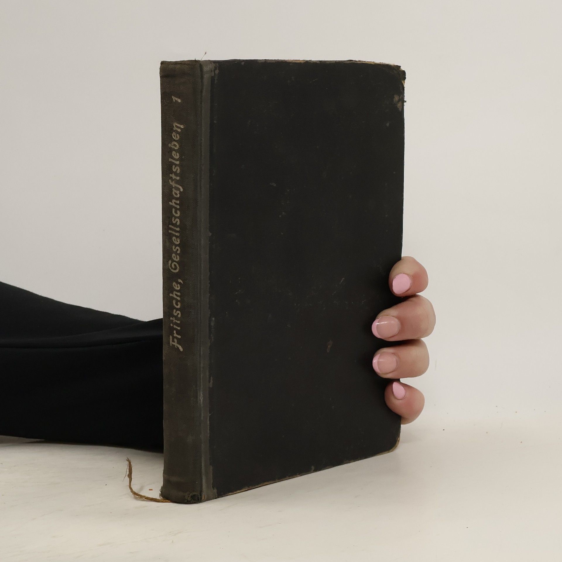 Victor von Fritsche Fritsche, Gesellschaftsleben