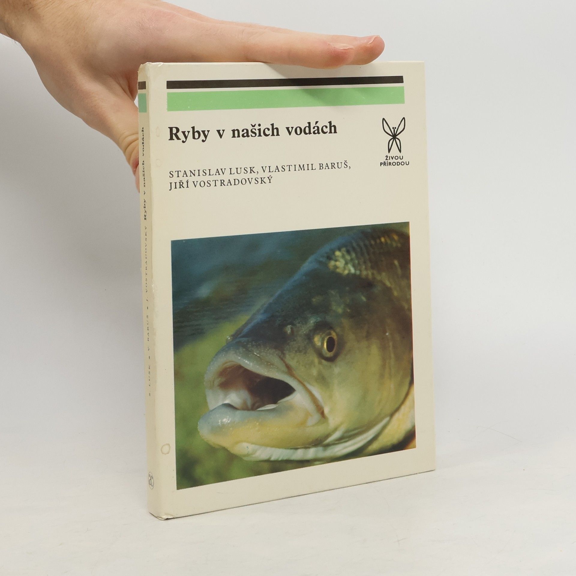 Kolektiv autorů Ryby v našich vodách