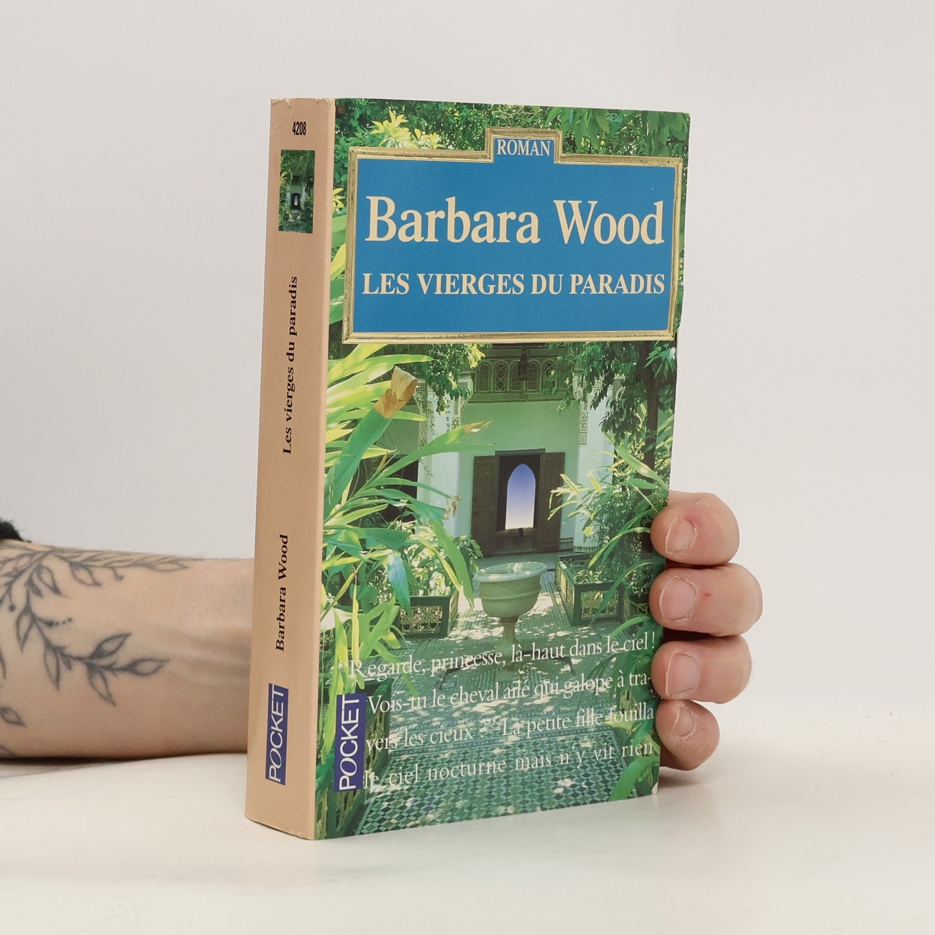 Barbara Wood Les Vierges du Paradis