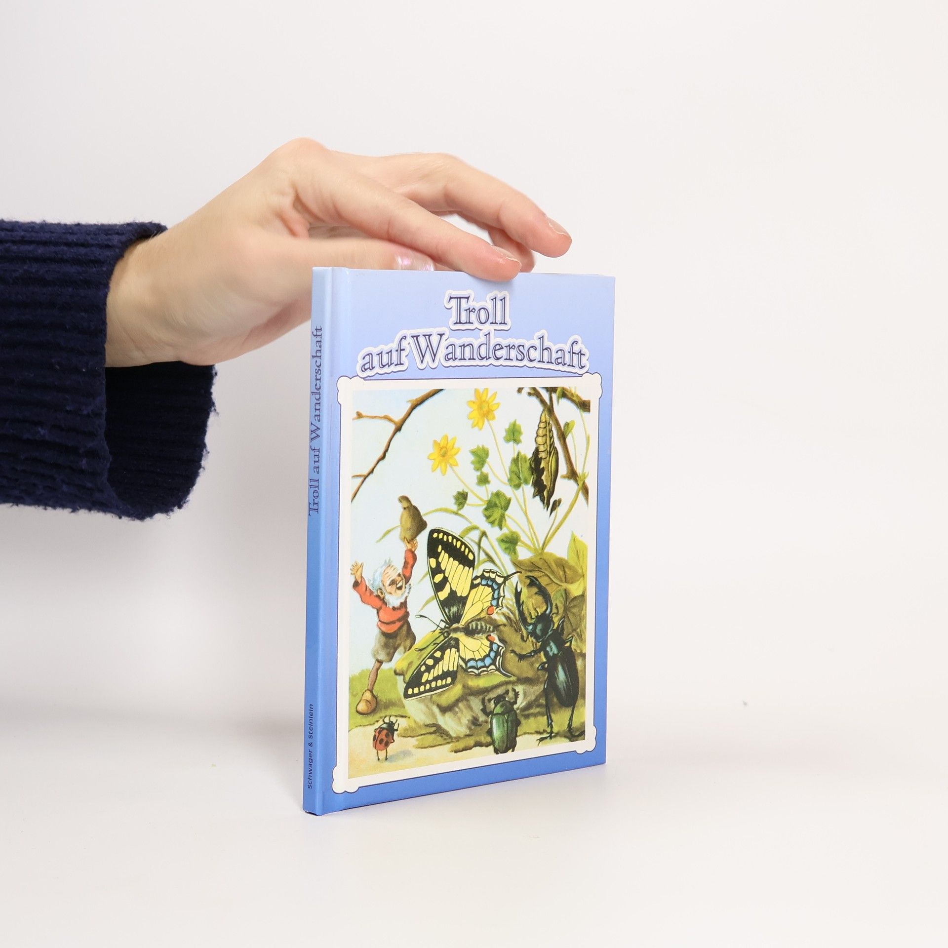 Kolektív autorov Die Regenzwerge