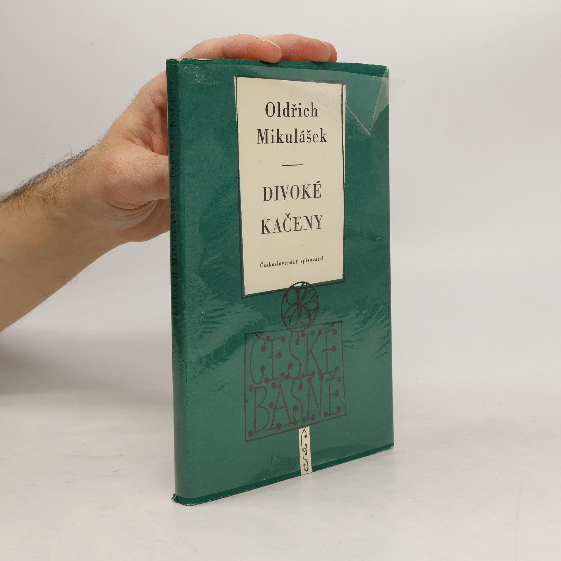 Oldřich Mikulášek Divoké kačeny