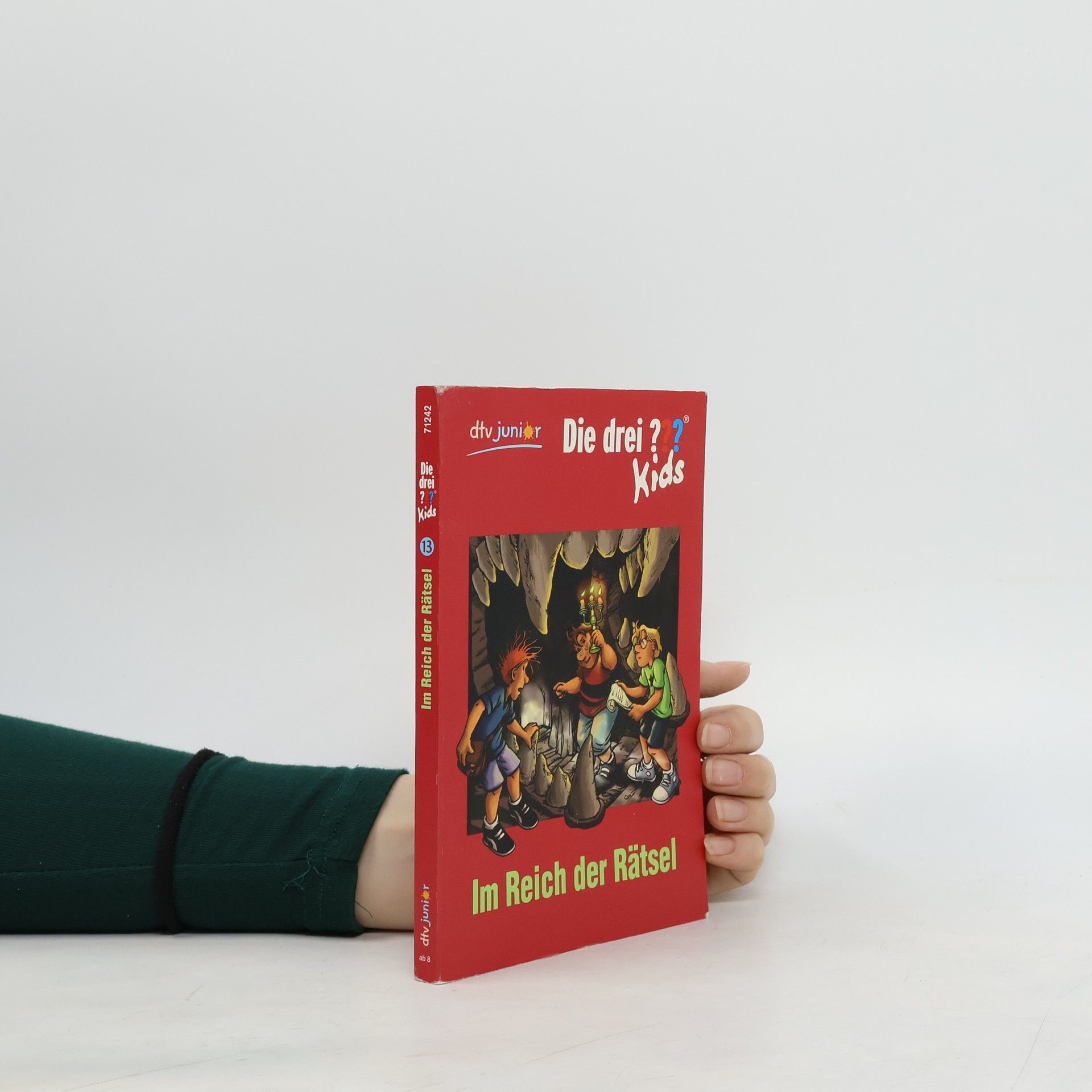 Ulf Blanck Die drei ??? Kids 13 - Im Reich der Rätsel