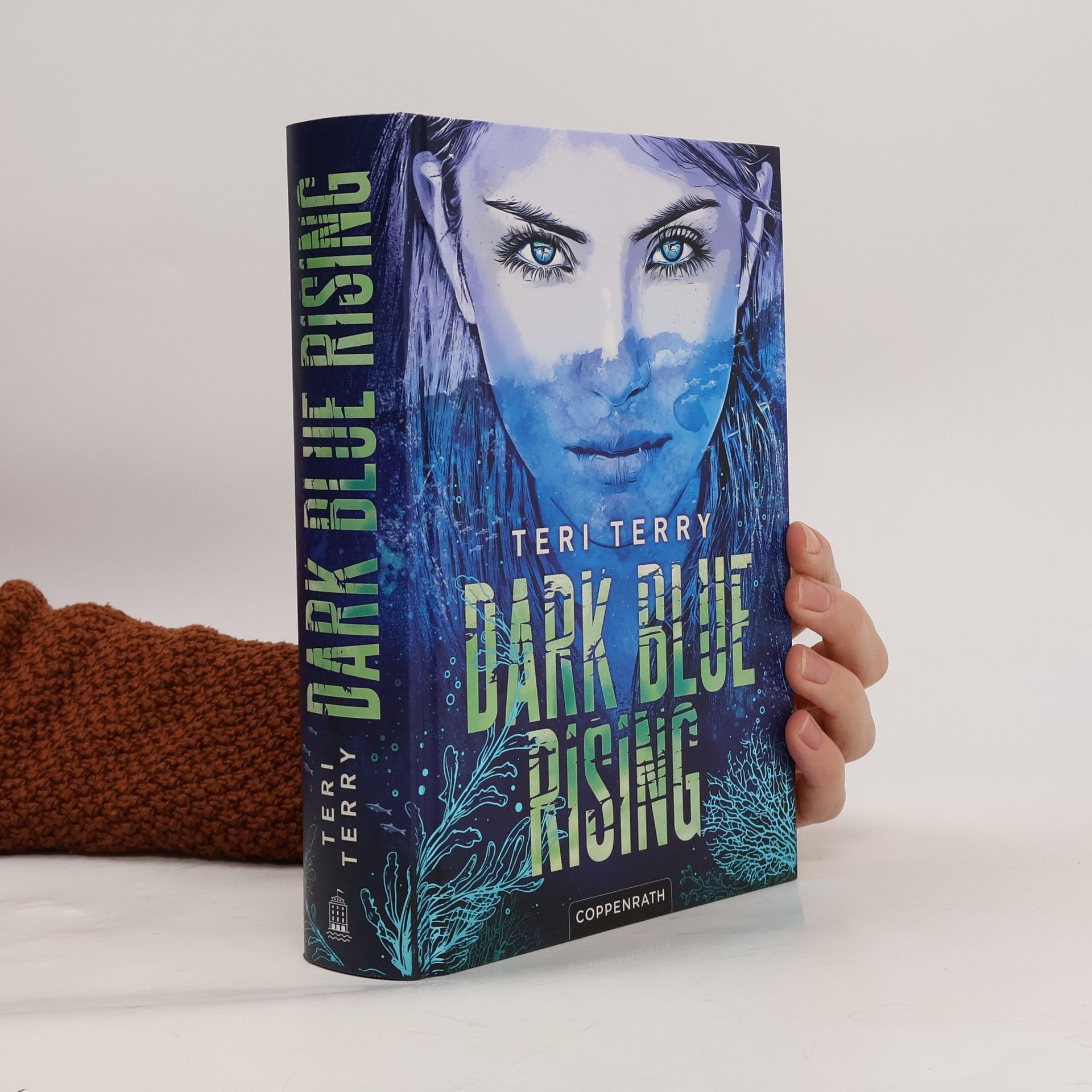 Teri Terry Dark Blue Rising