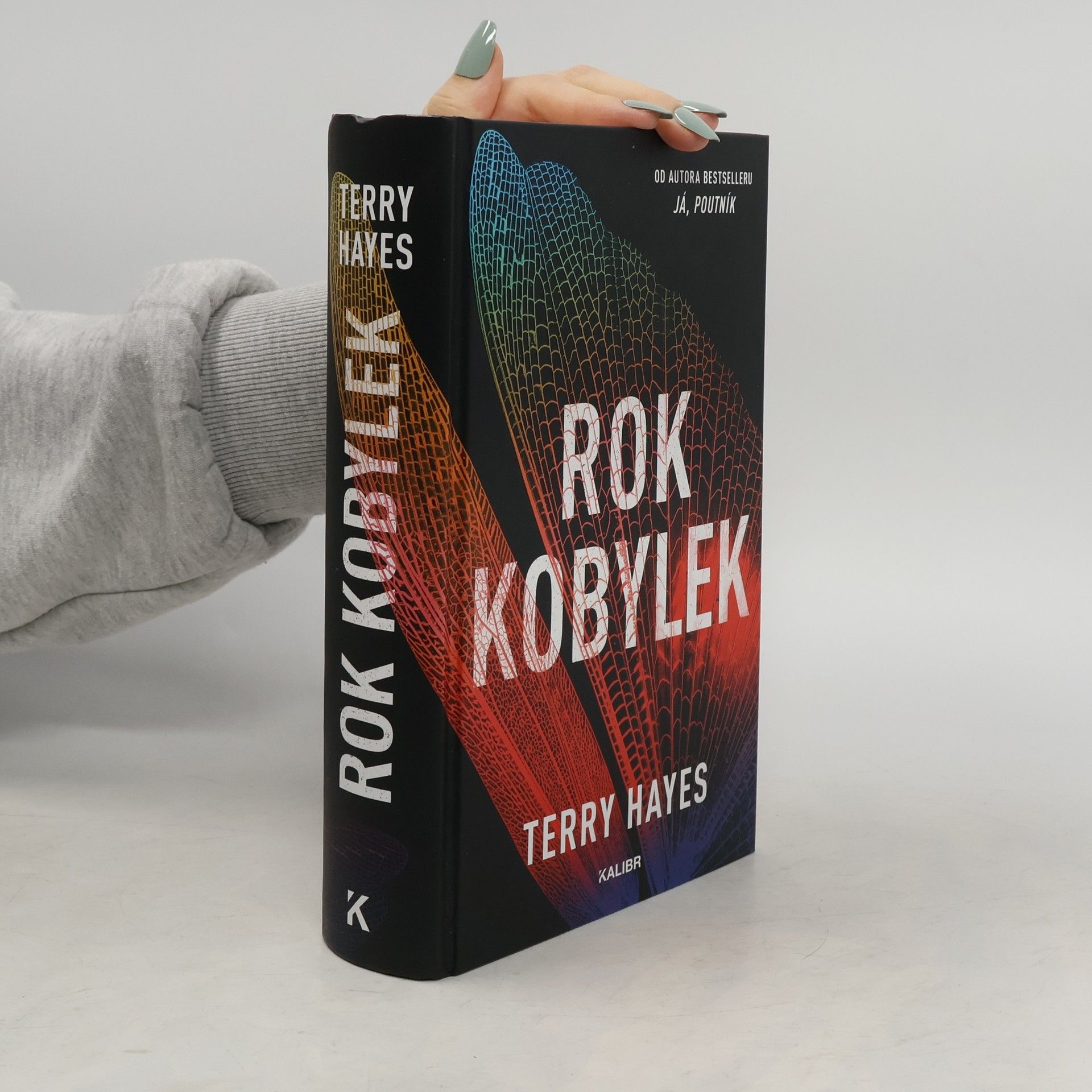 Terry Hayes Rok kobylek