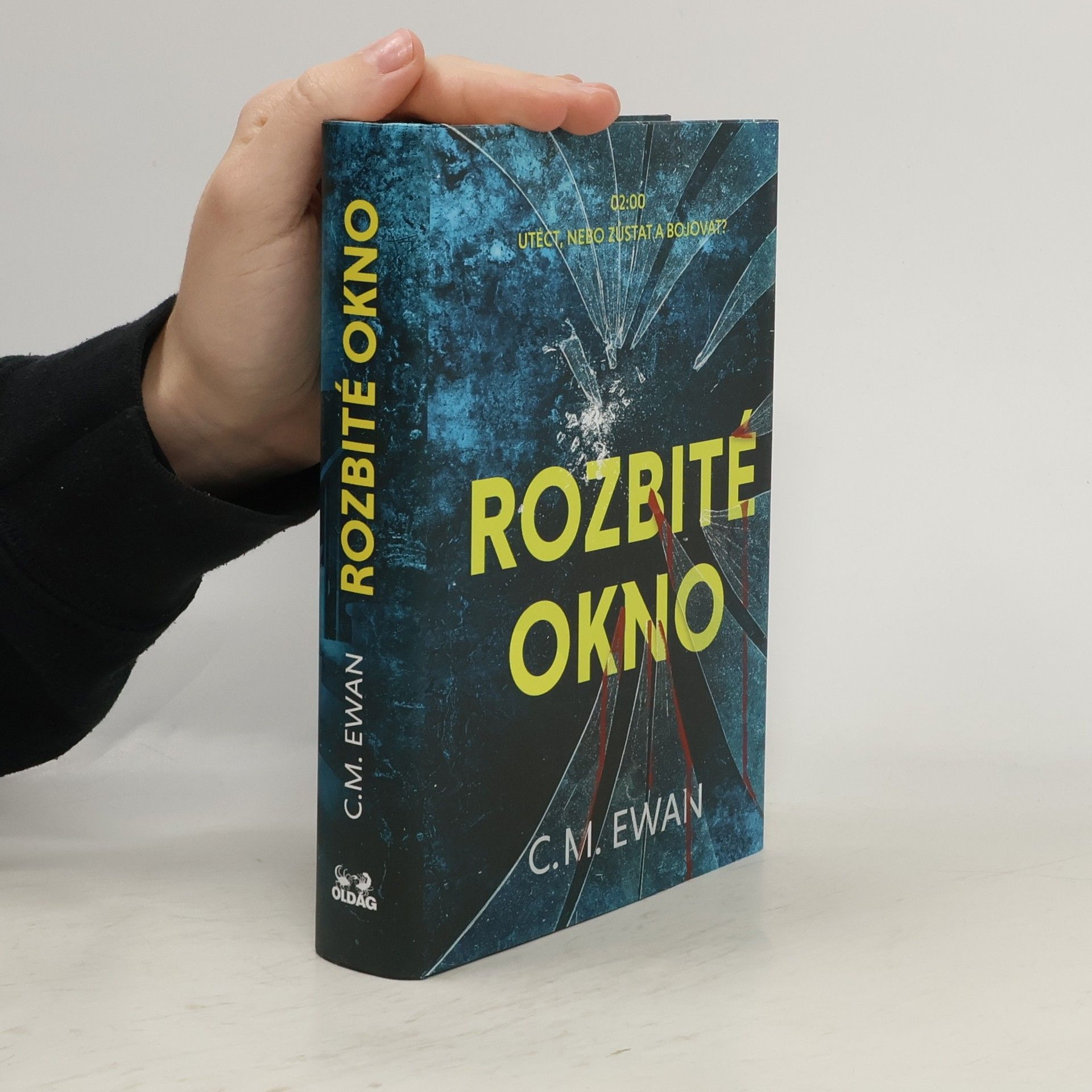 Chris Ewan Rozbité okno