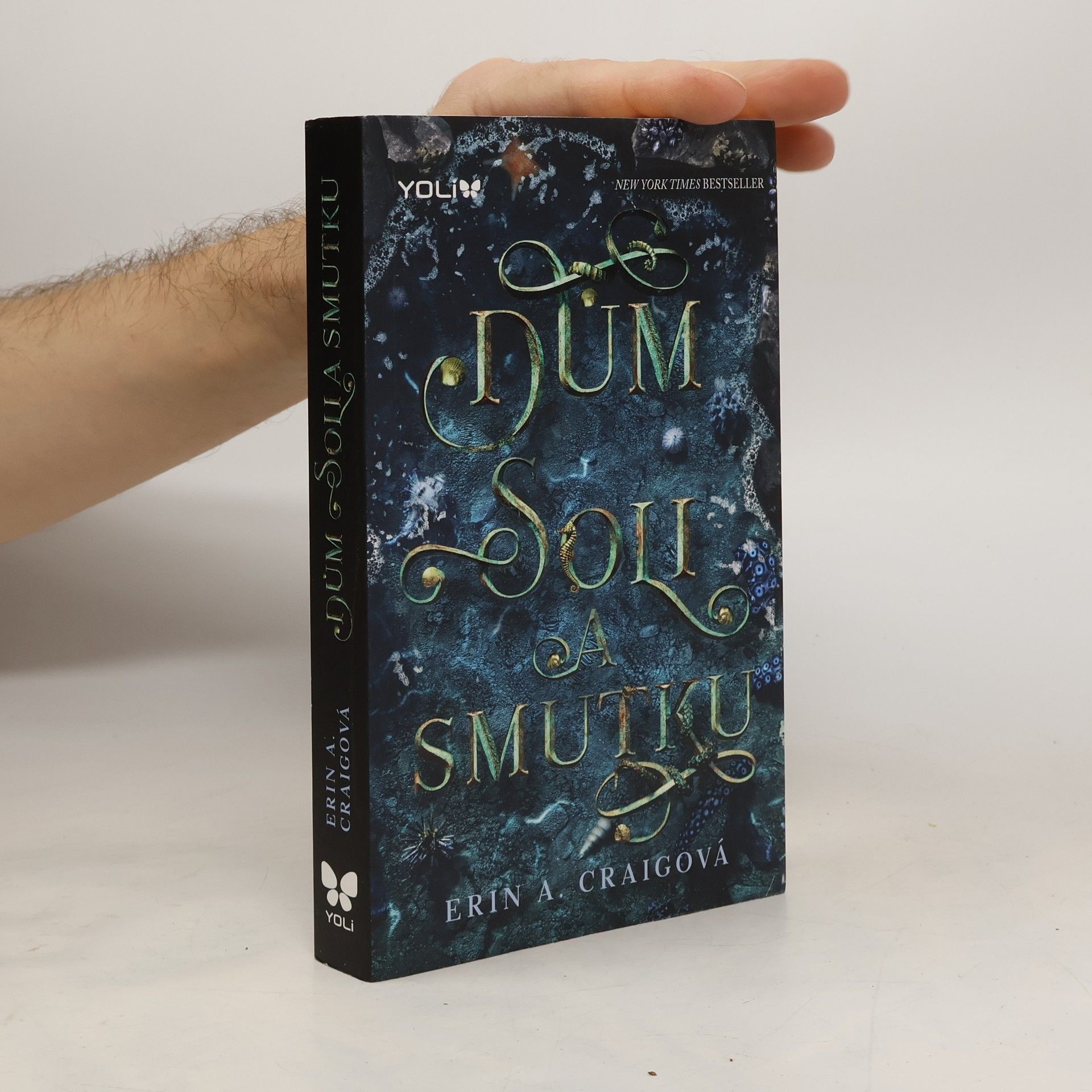 Erin A. Craig Dům soli a smutku