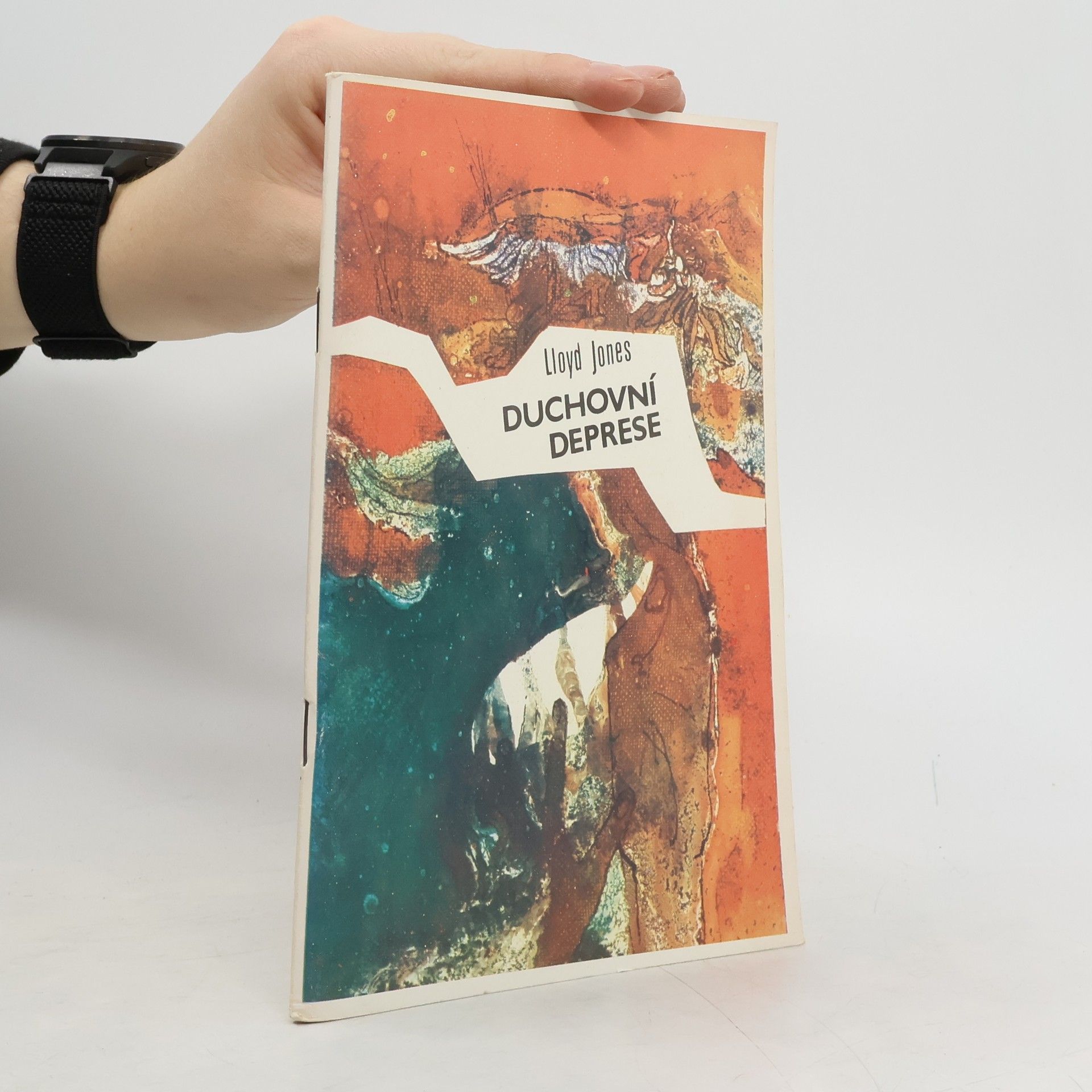 Sally Lloyd-Jones Duchovní deprese