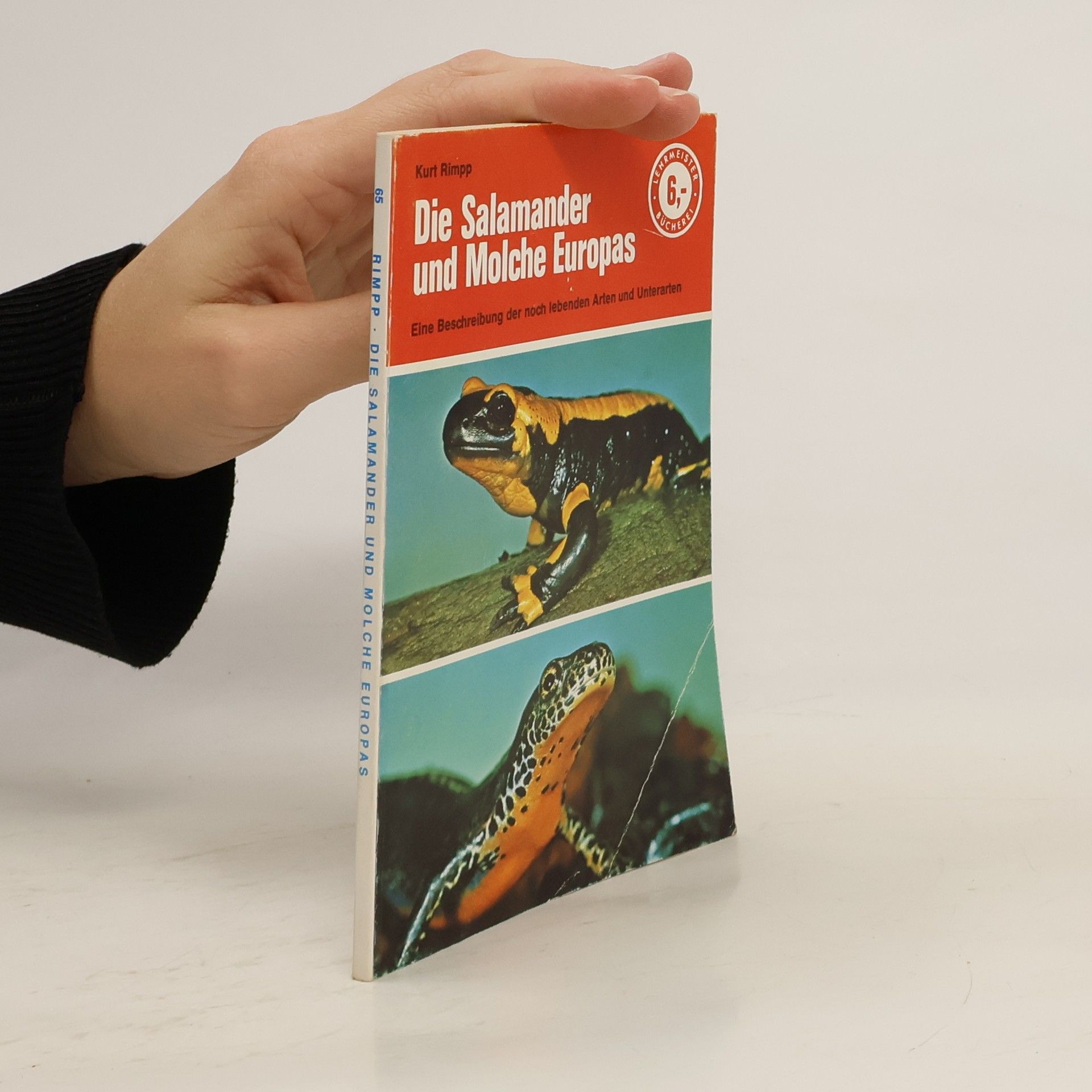 Kurt Rimpp Die Salamander und Molche Europas