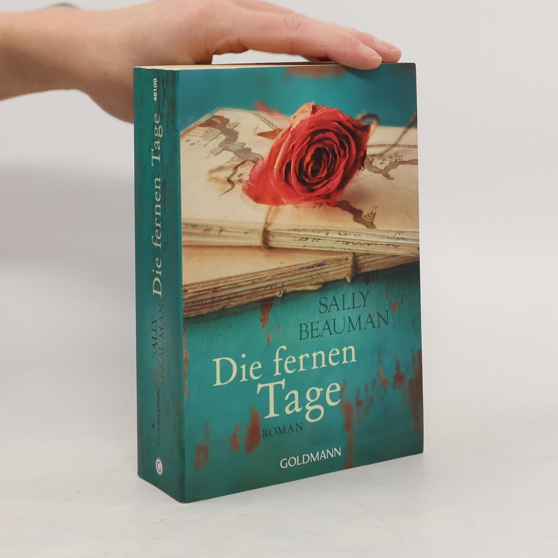 Sally Beauman Die fernen Tage