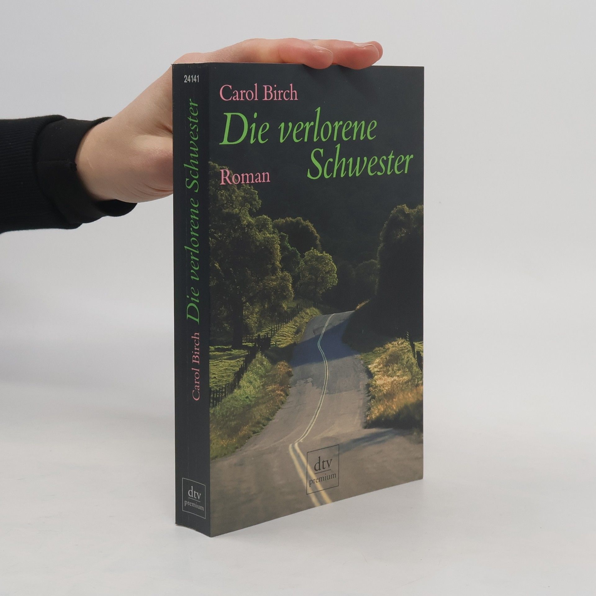 Carol Birch Die verlorene Schwester