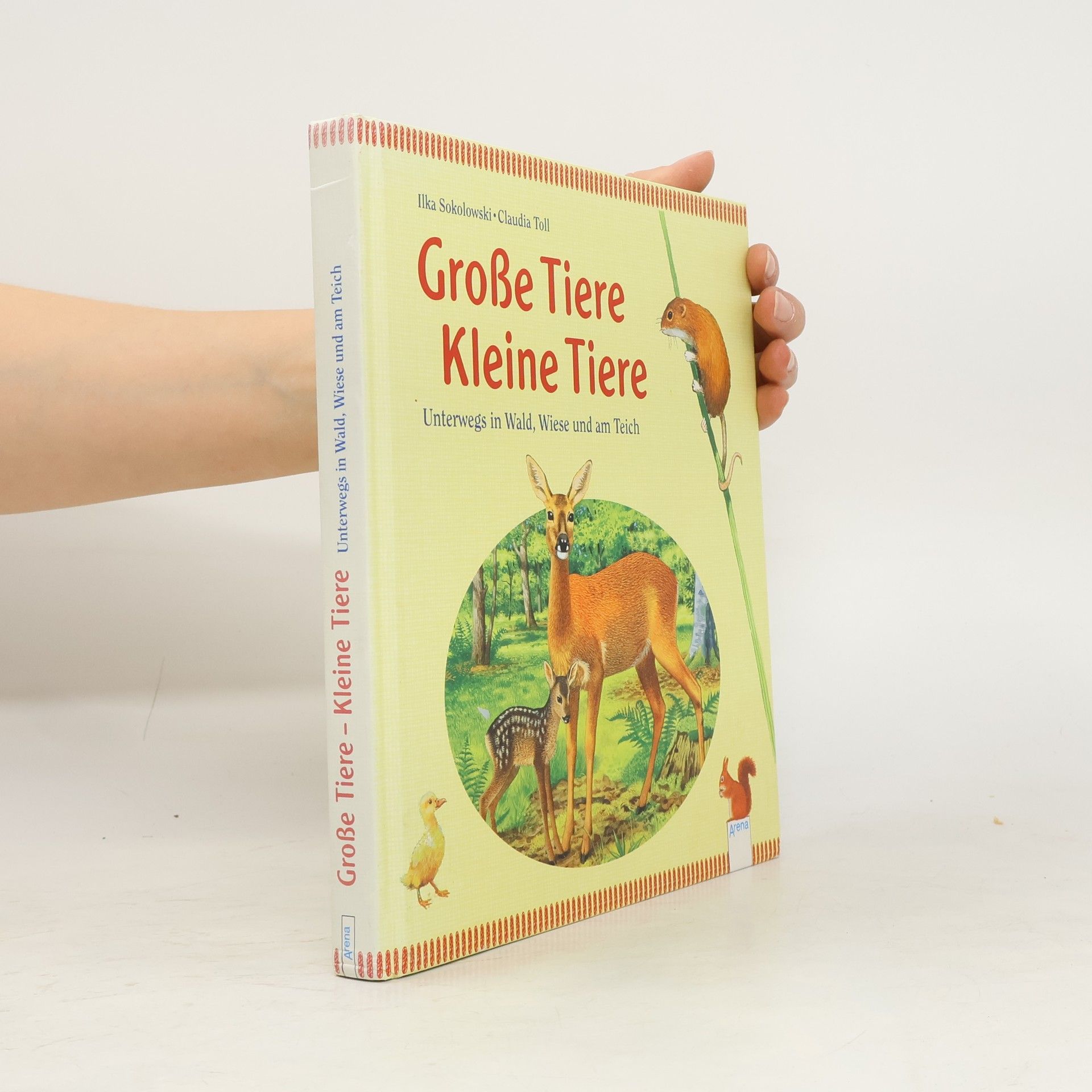 Ilka Sokolowski Große Tiere - kleine Tiere