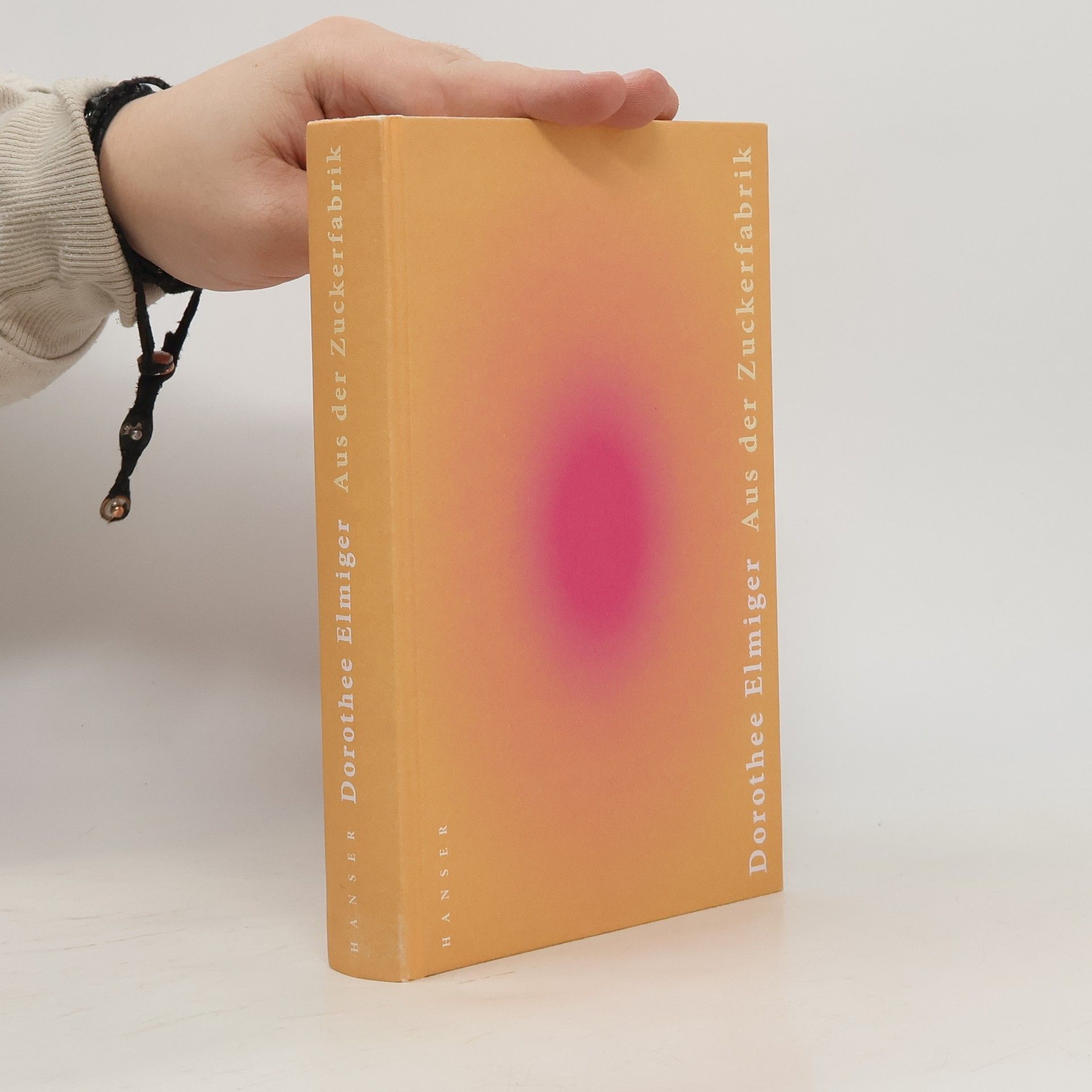 Dorothee Elmiger Aus der Zuckerfabrik