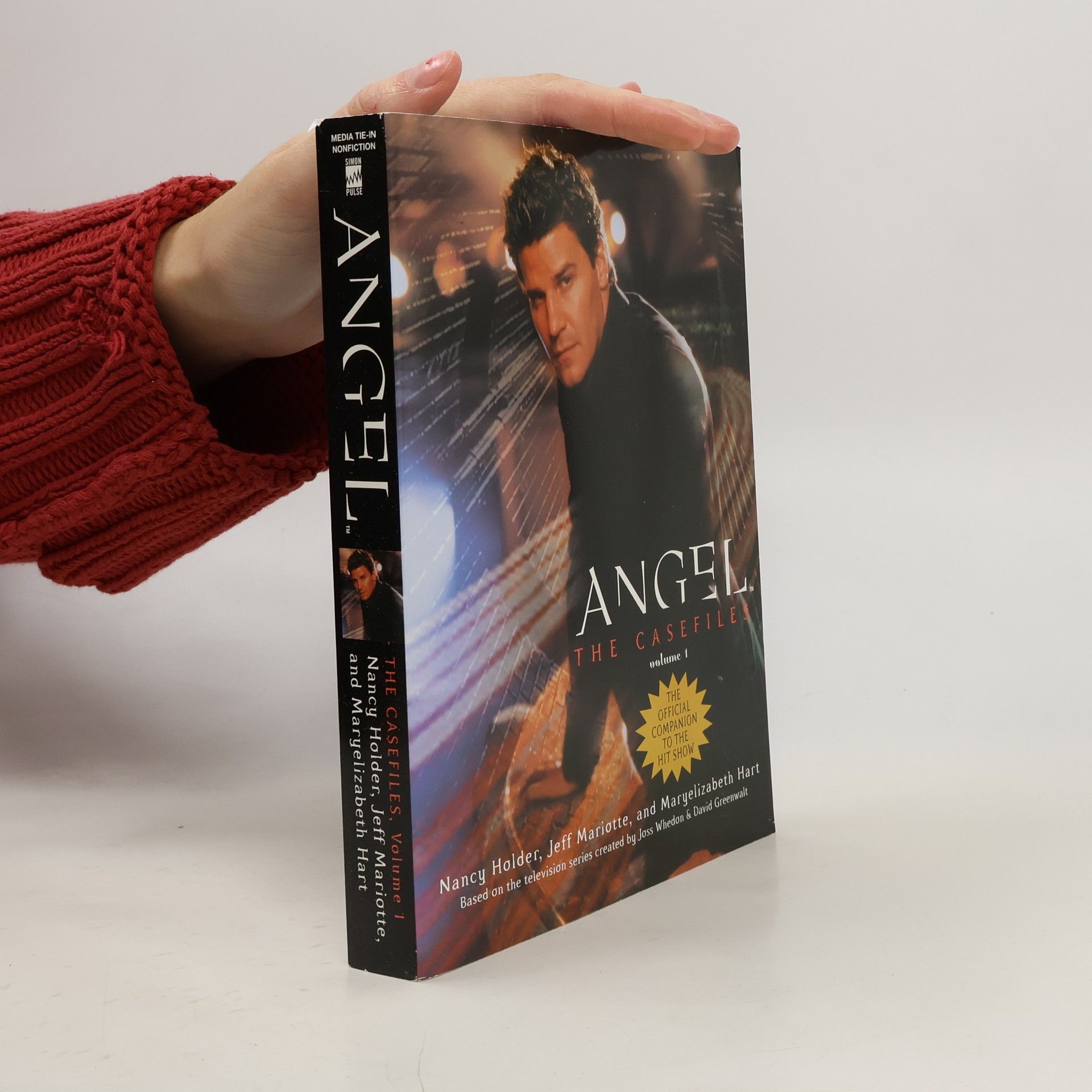 Nancy Holder The Casefiles 1. Angel