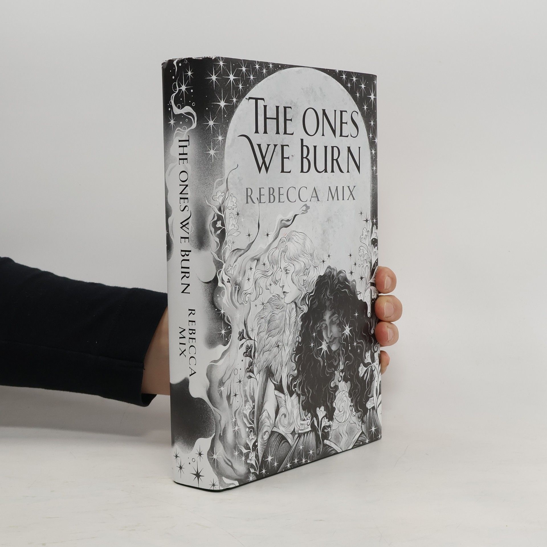 Rebecca Mix The Ones We Burn