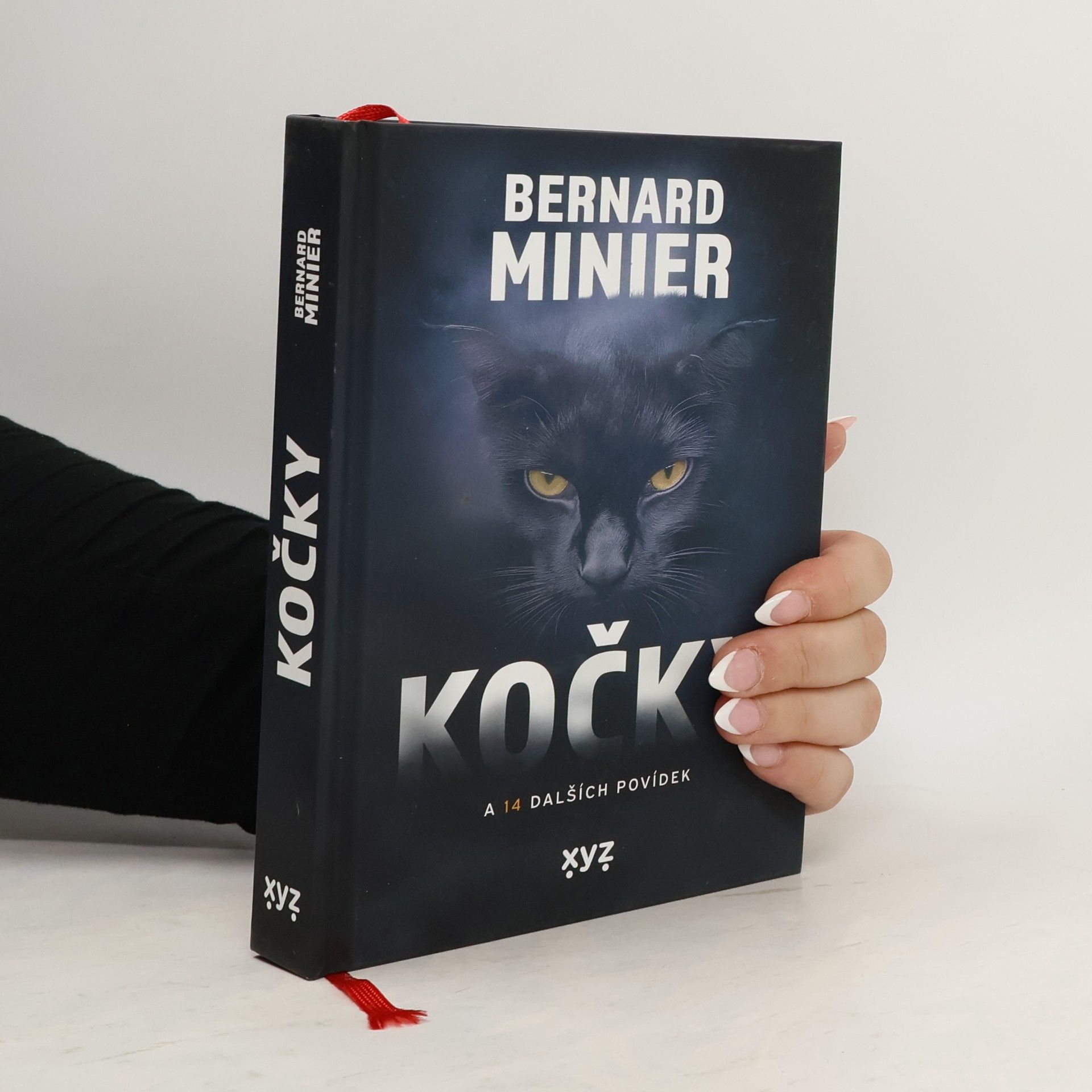 Bernard Minier Kočky