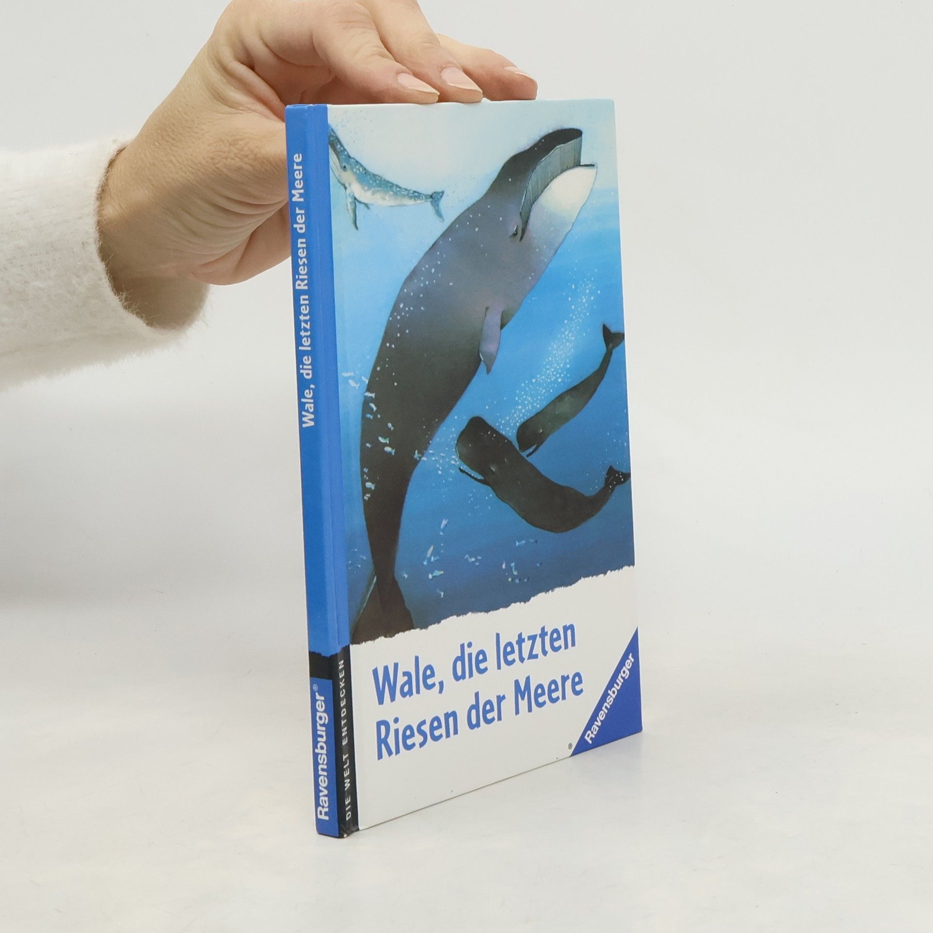 Patrick Geistdoerfer Wale