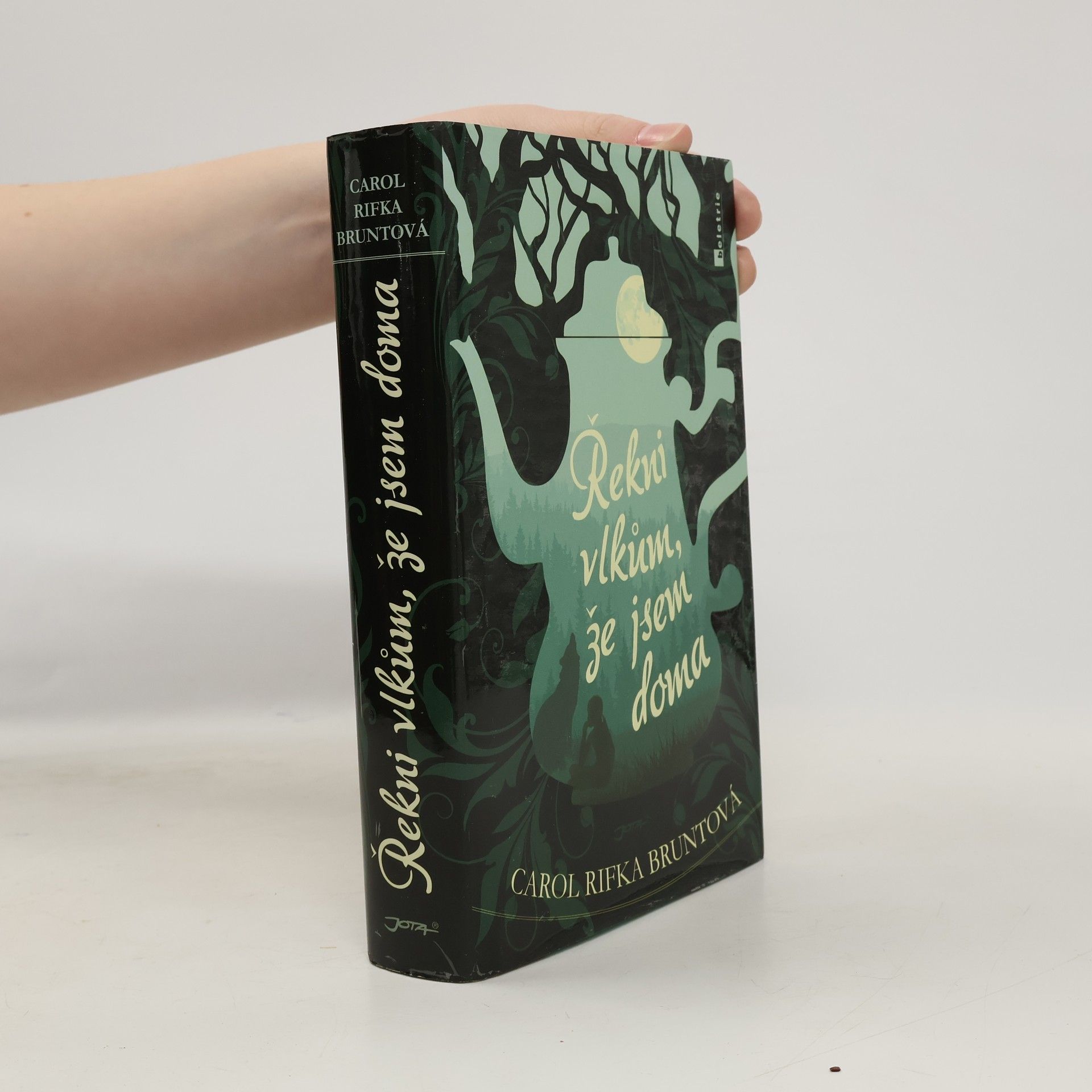 Carol Rifka Brunt Řekni vlkům, že jsem doma