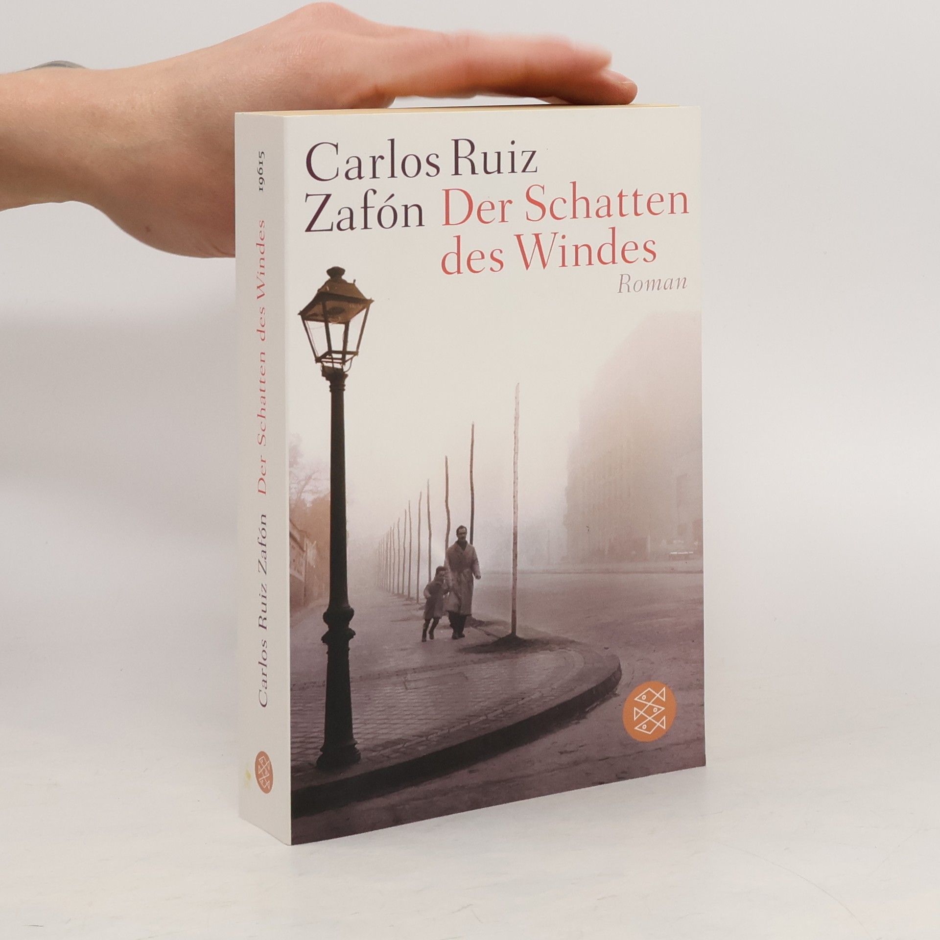 Carlos Ruiz Zafón Der Schatten des Windes