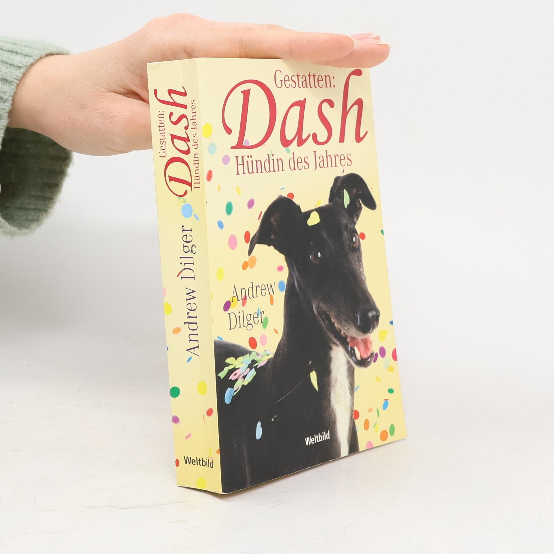 Gestatten: Dash, Hündin des Jahres