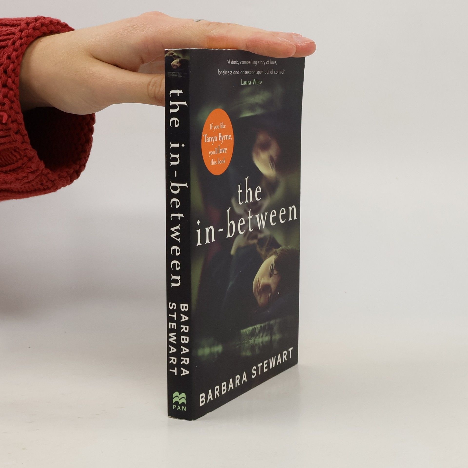 Barbara Stewart The In-Between