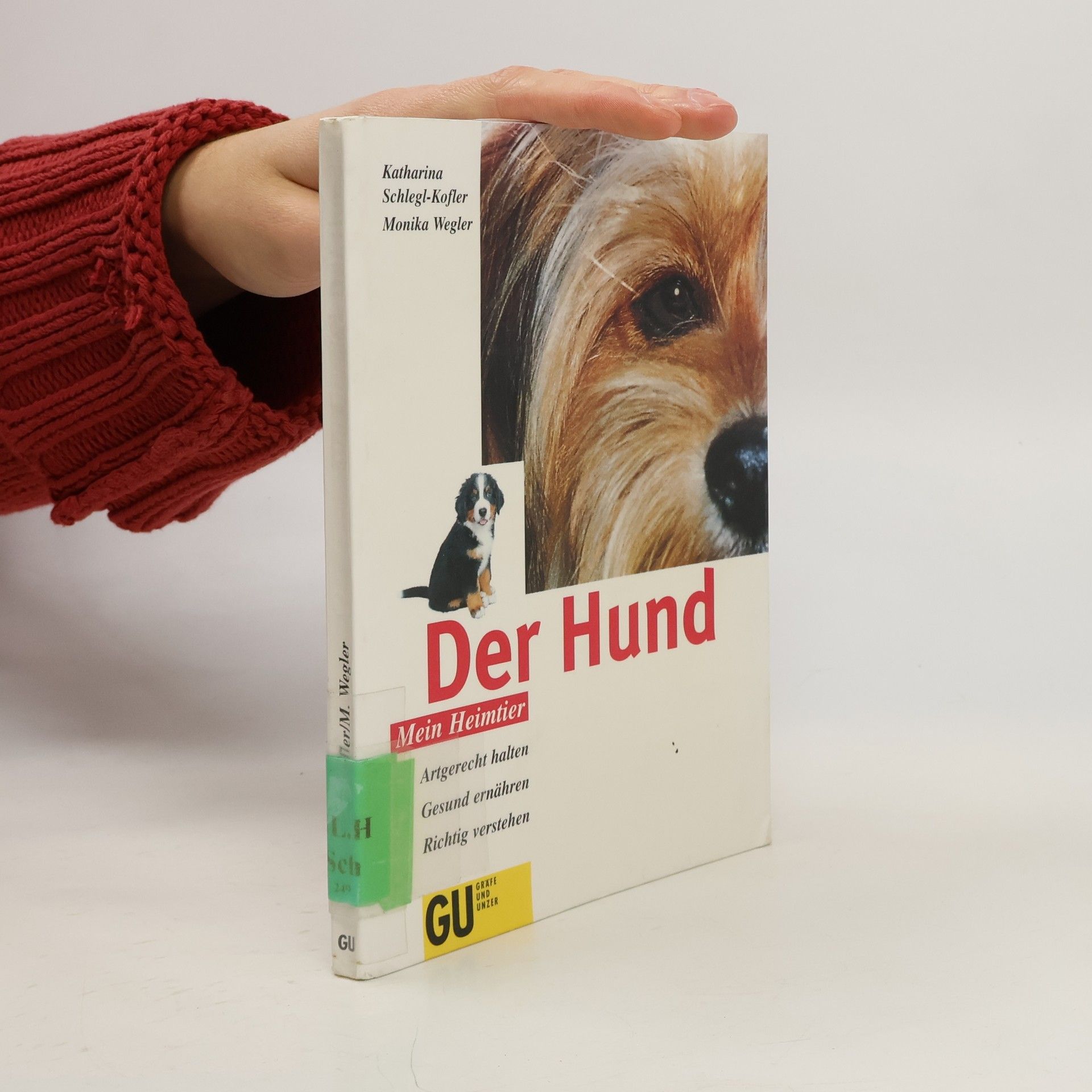 Der Hund