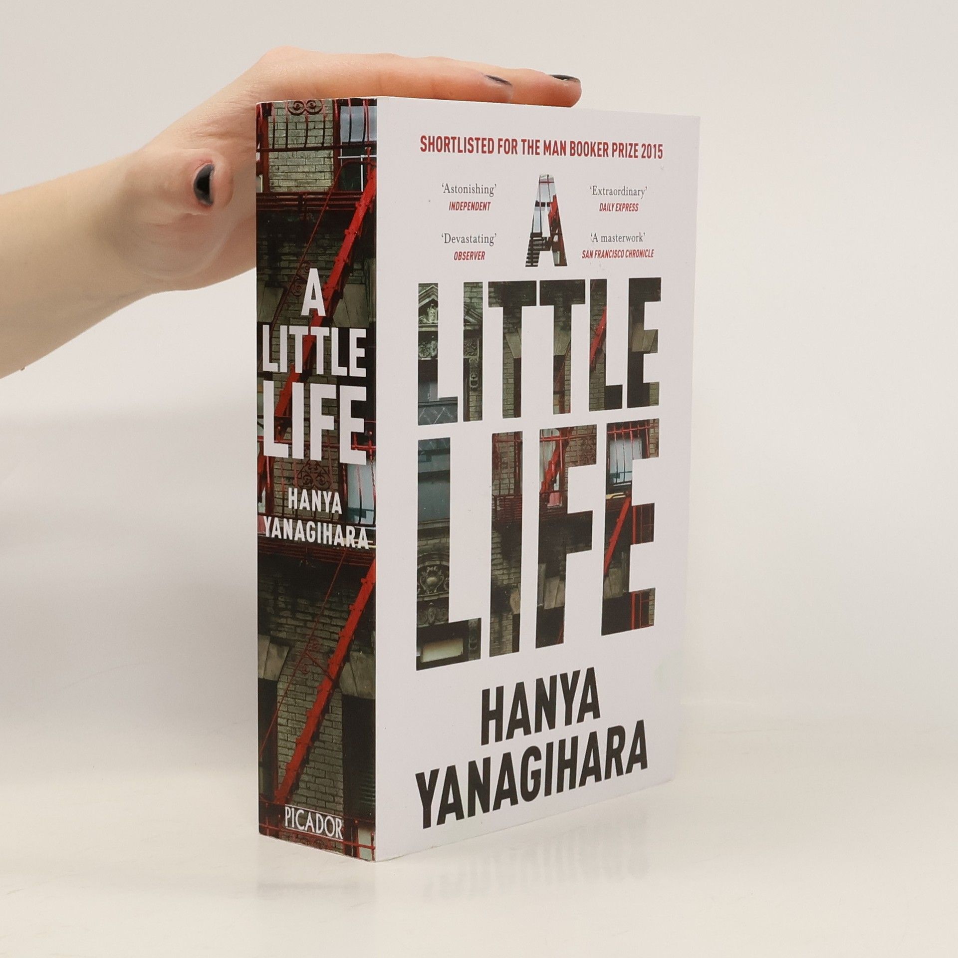 A Little Life