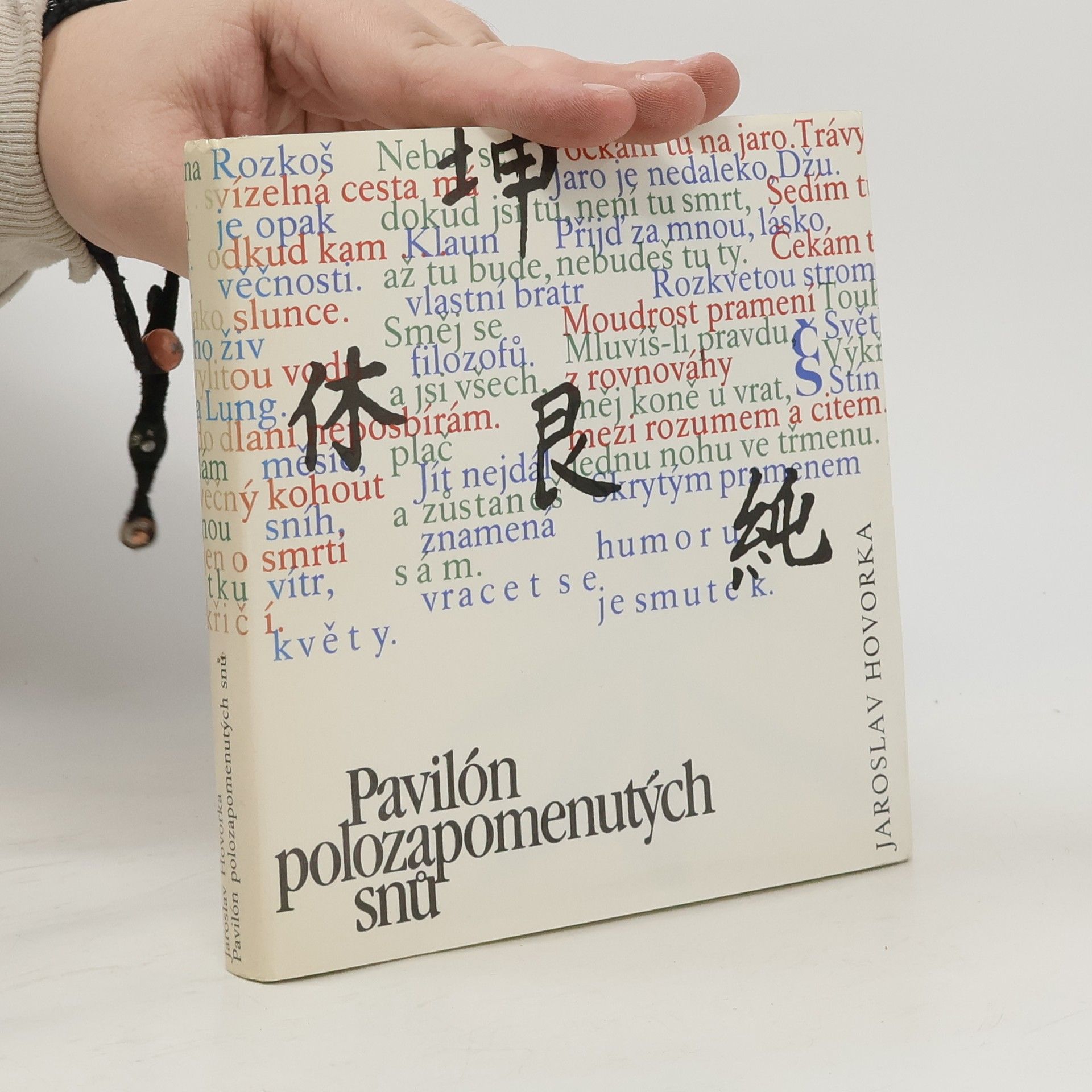 Pavilón polozapomenutých snů