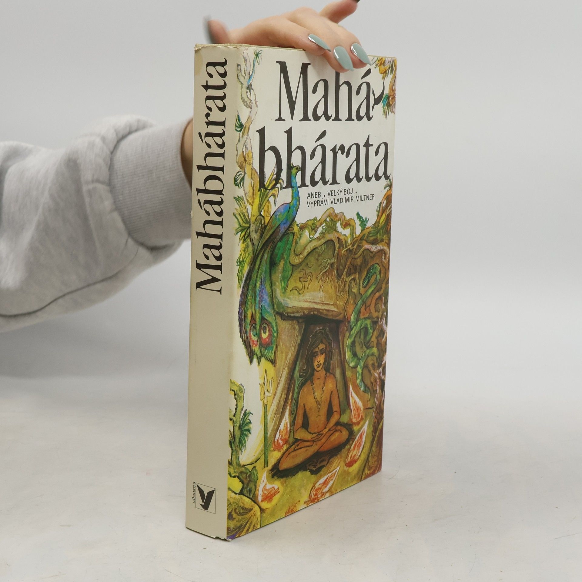 Jaromír Skřivánek Mahábhárata aneb Velký boj