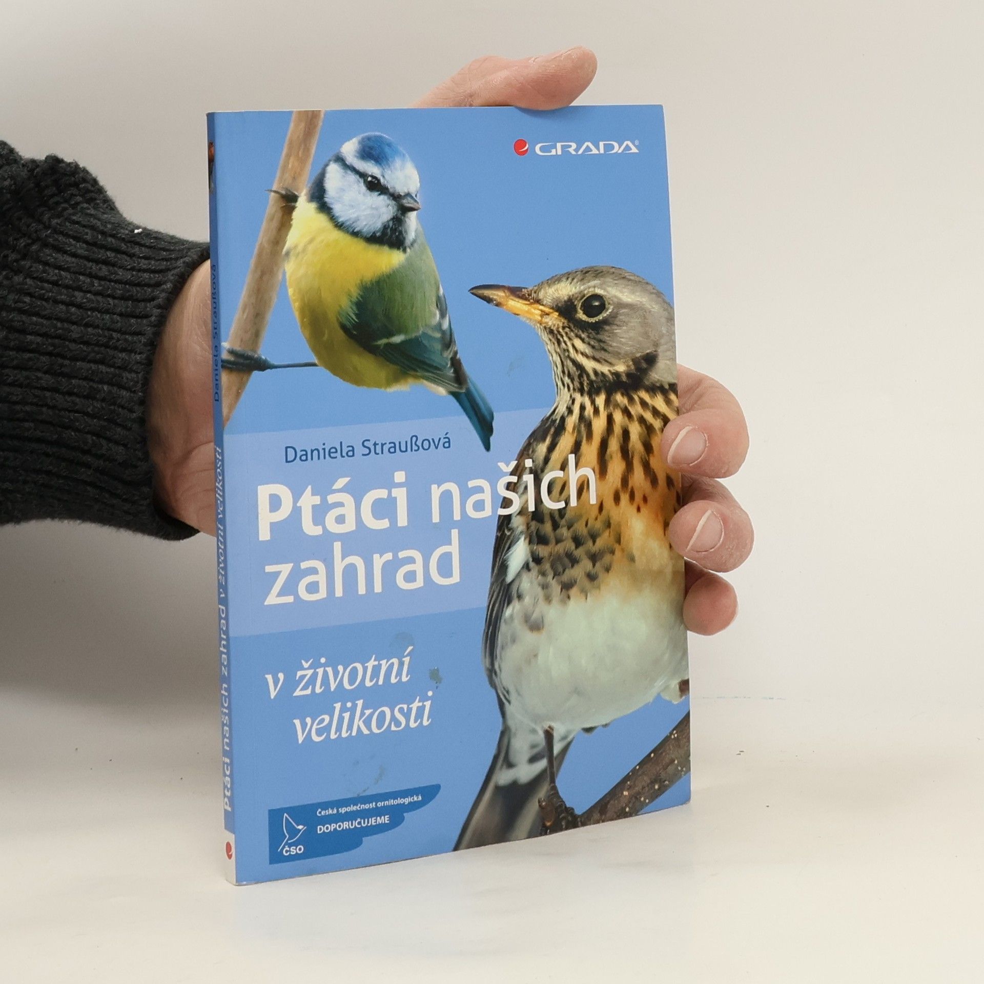 Ptáci našich zahrad : v životní velikosti