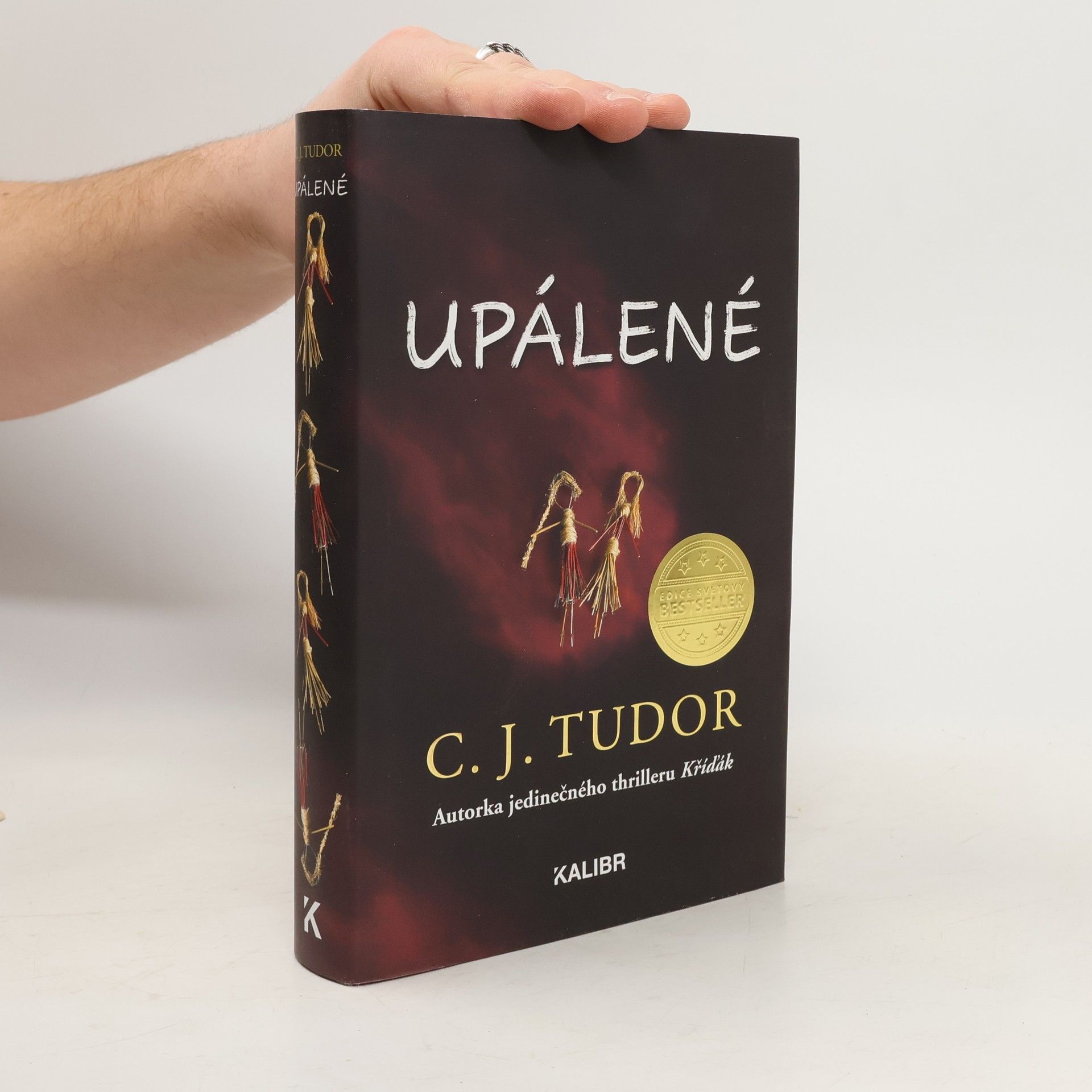 C. J. Tudor Upálené