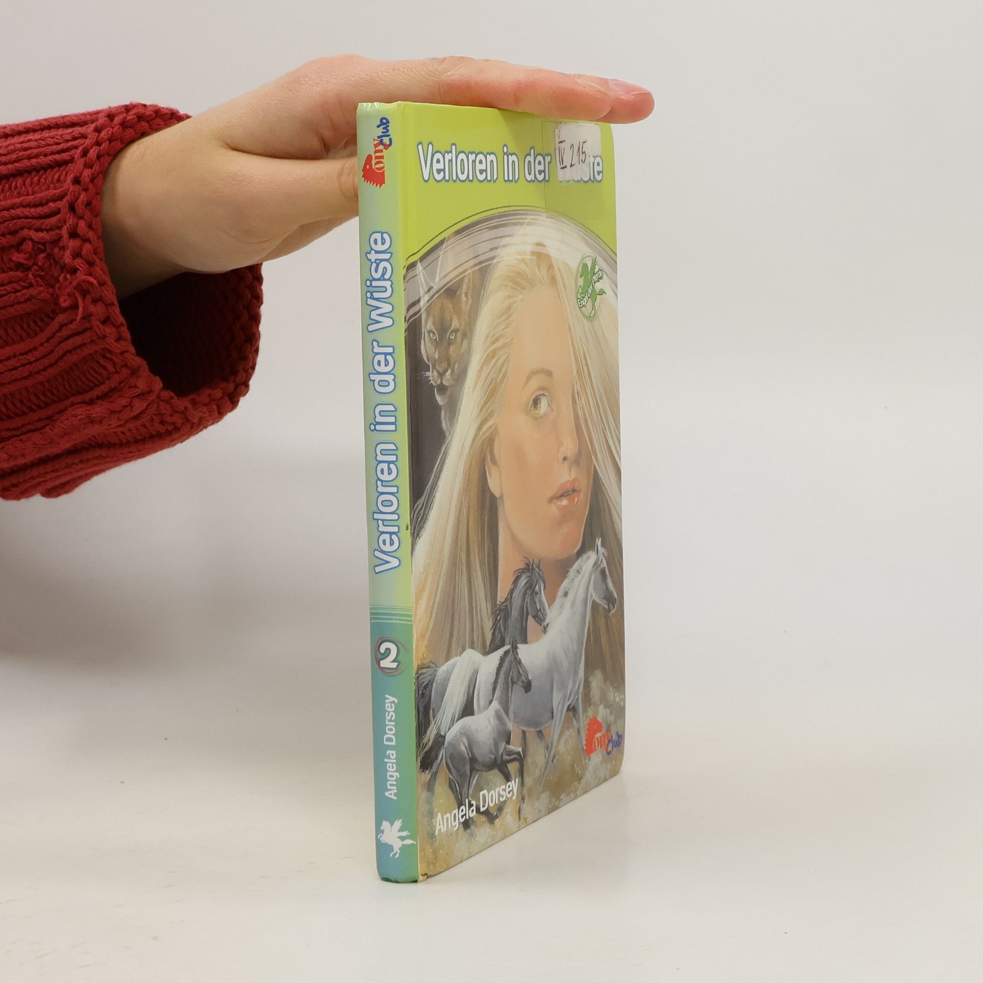 Angela Dorsey Engel der Pferde 2: Verloren in der Wüste