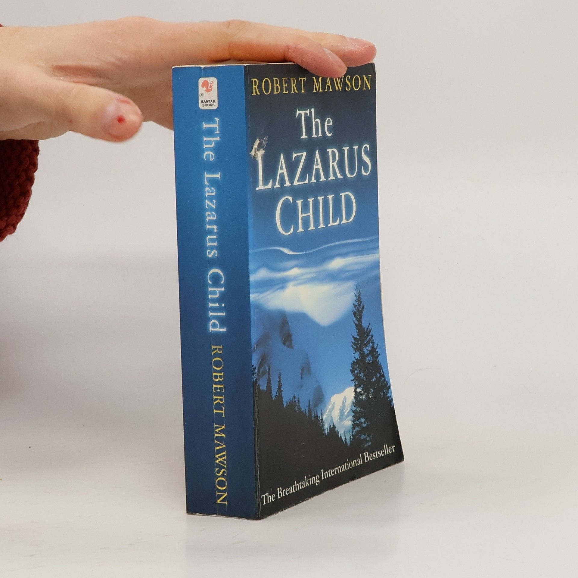 Robert Mawson The Lazarus Child